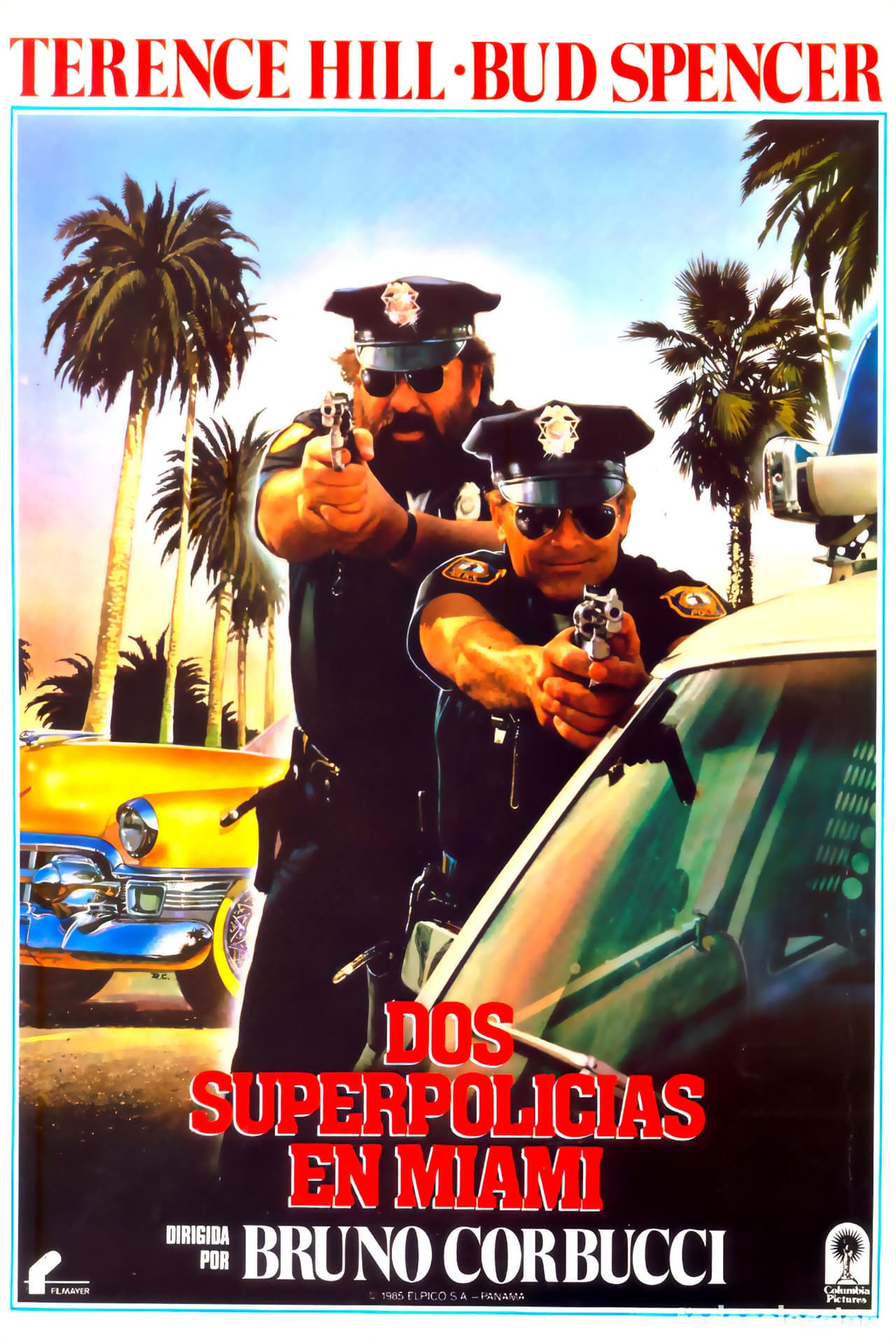 Película Dos superpolicías en Miami