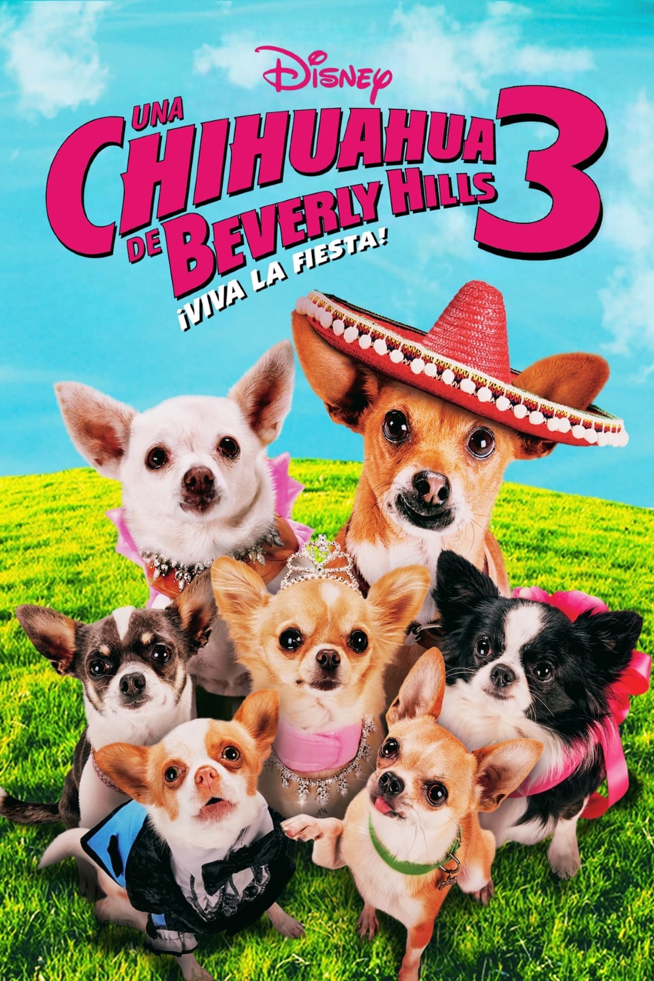 Movie Un chihuahua en Beverly Hills 3: ¡Que viva la fiesta!