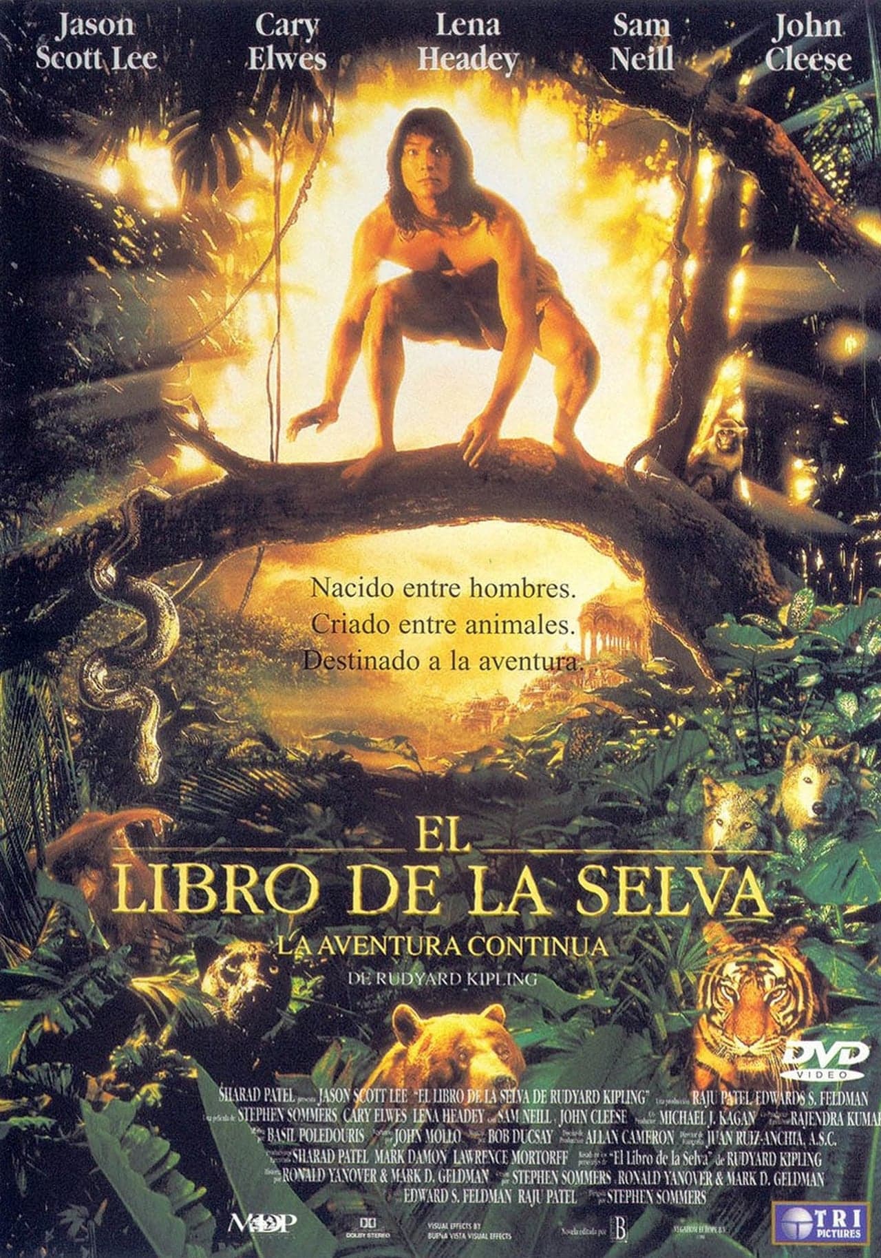 Película El libro de la selva: la aventura continúa