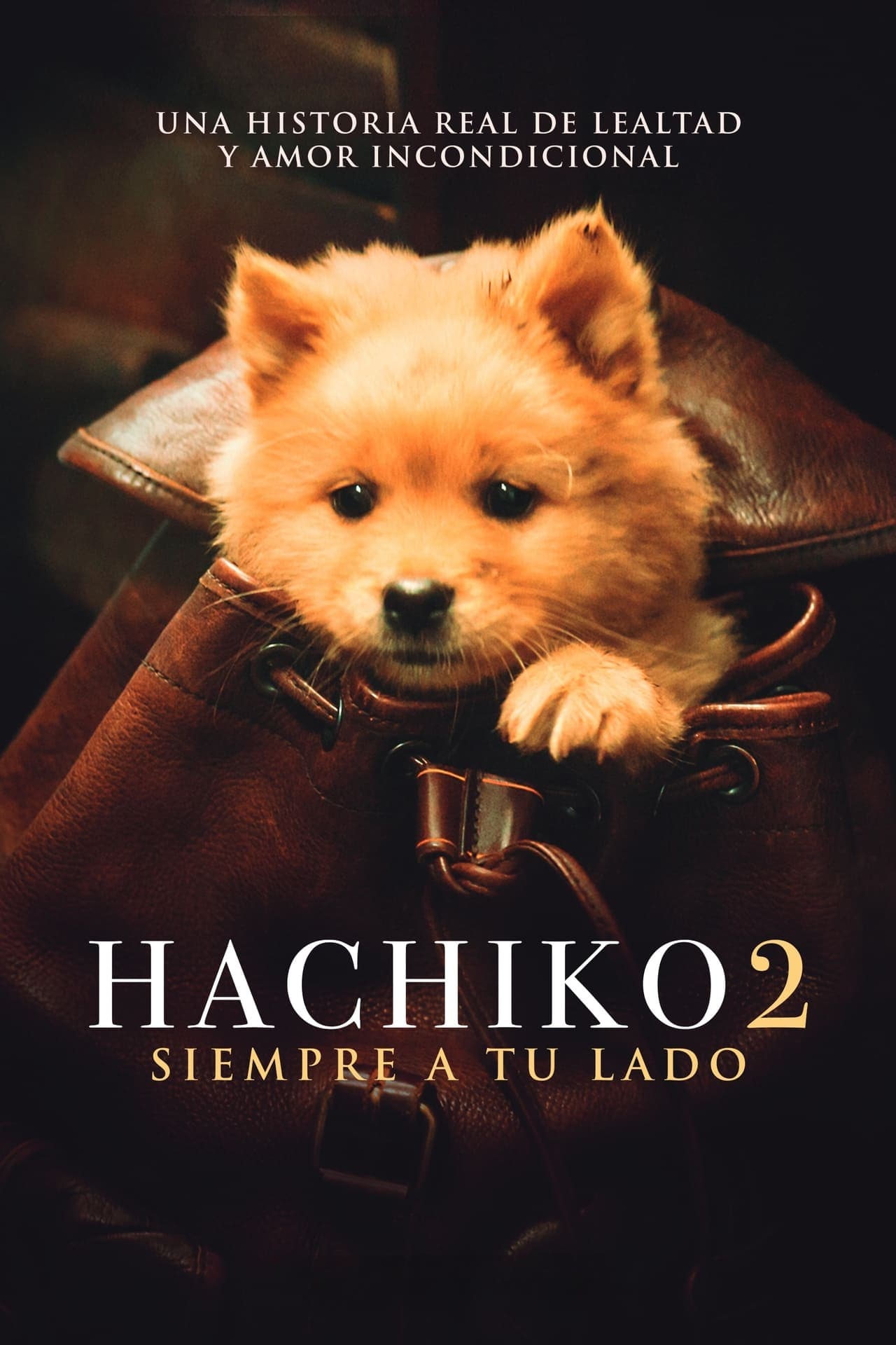 Movie Hachiko