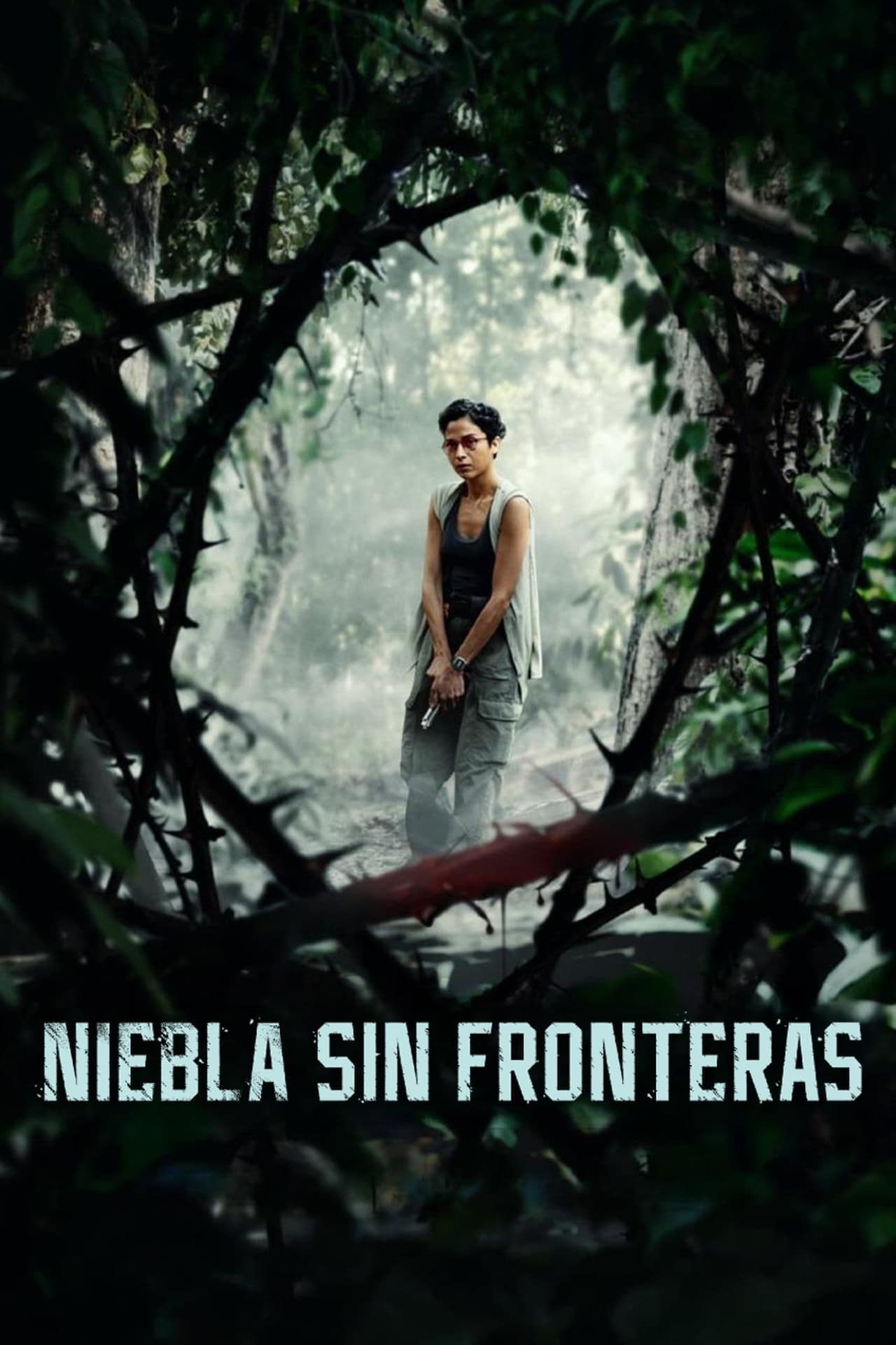 Movie Niebla sin fronteras