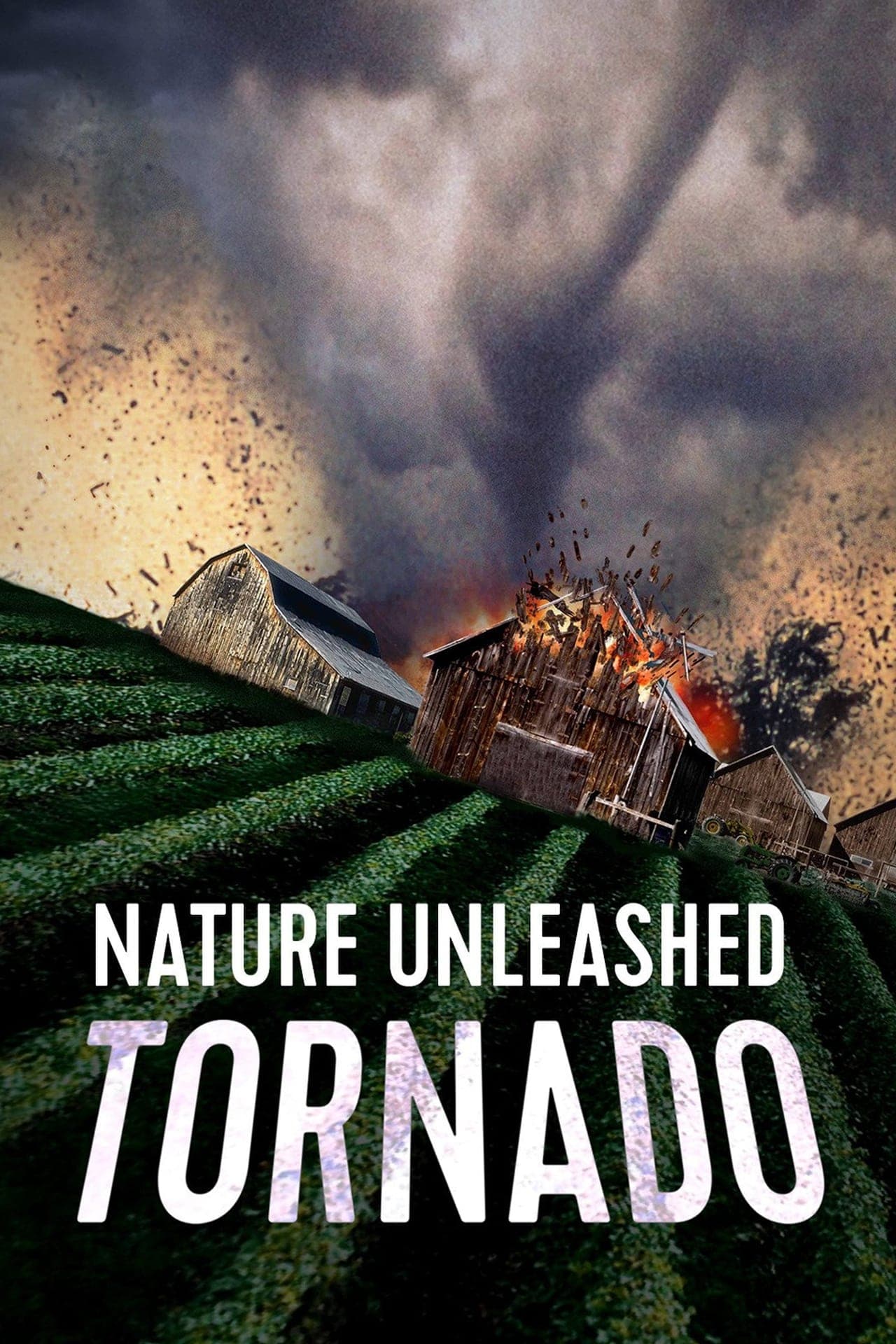 Movie Nature Unleashed: Tornado