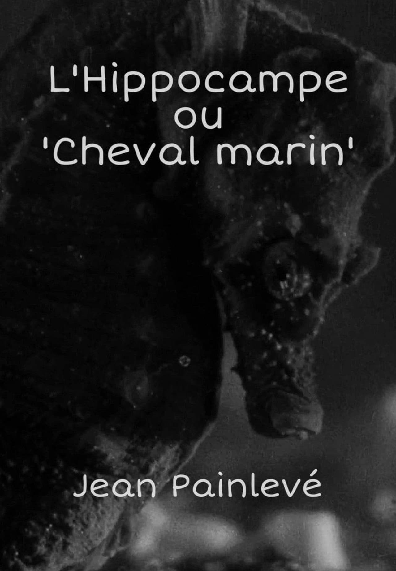 Movie L'Hippocampe, ou 'Cheval marin'