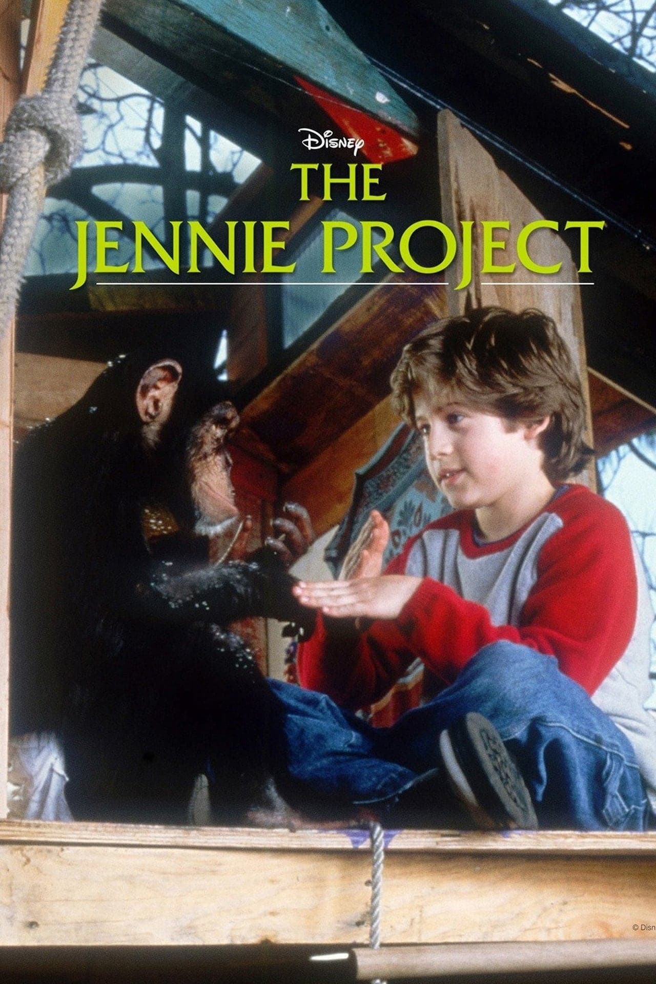 Movie The Jennie Project