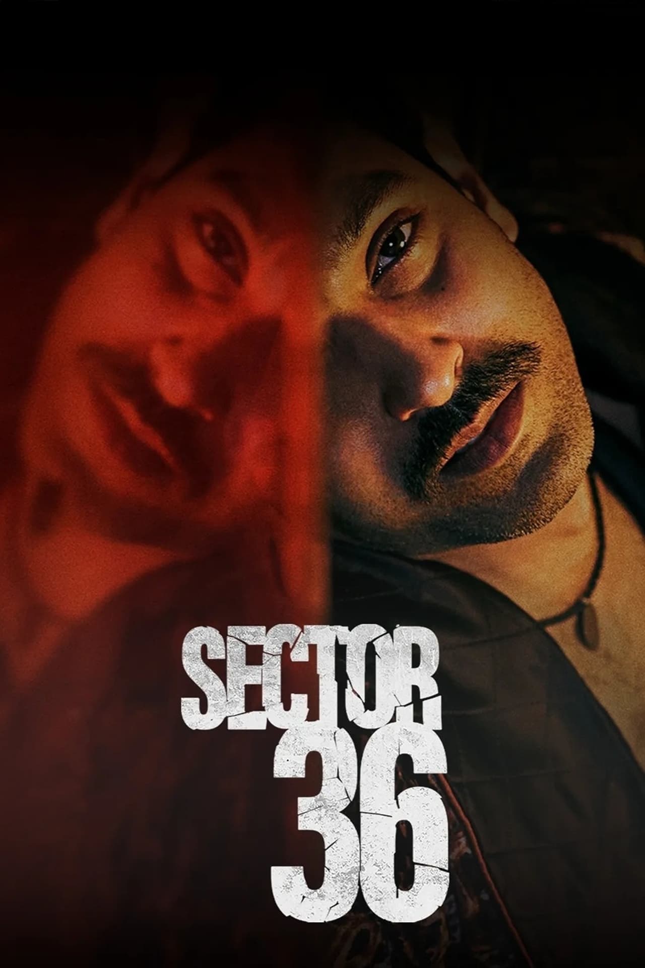 Película Sector 36