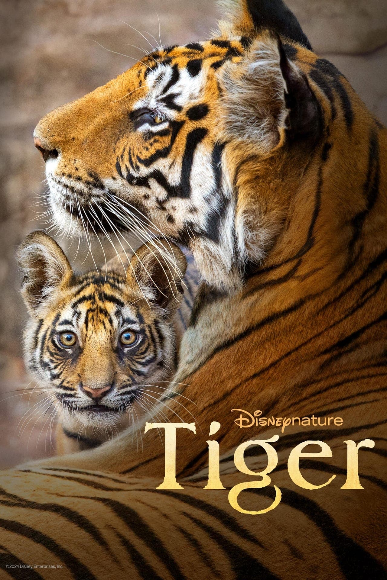 Movie Tigres