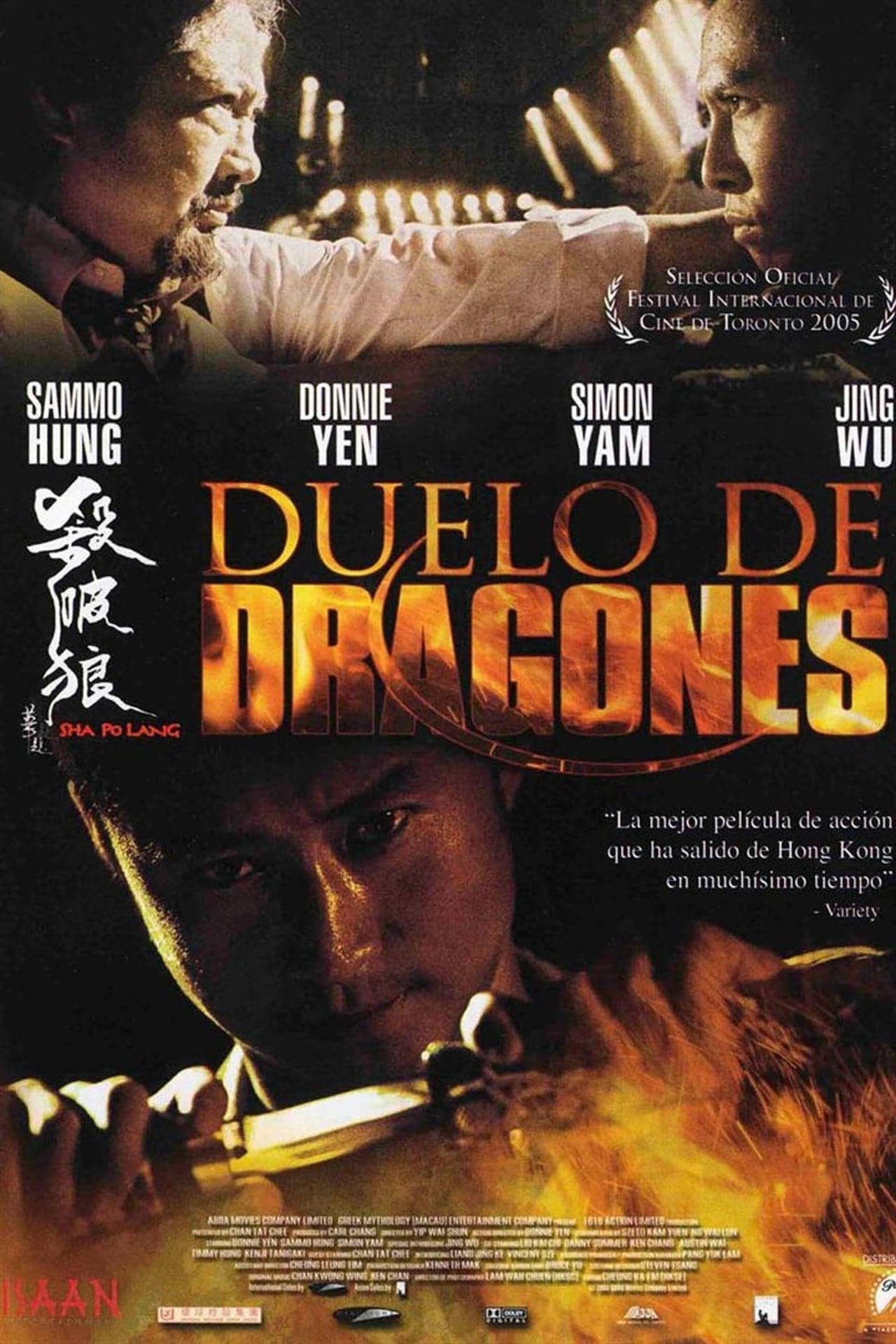 Película Duelo de dragones