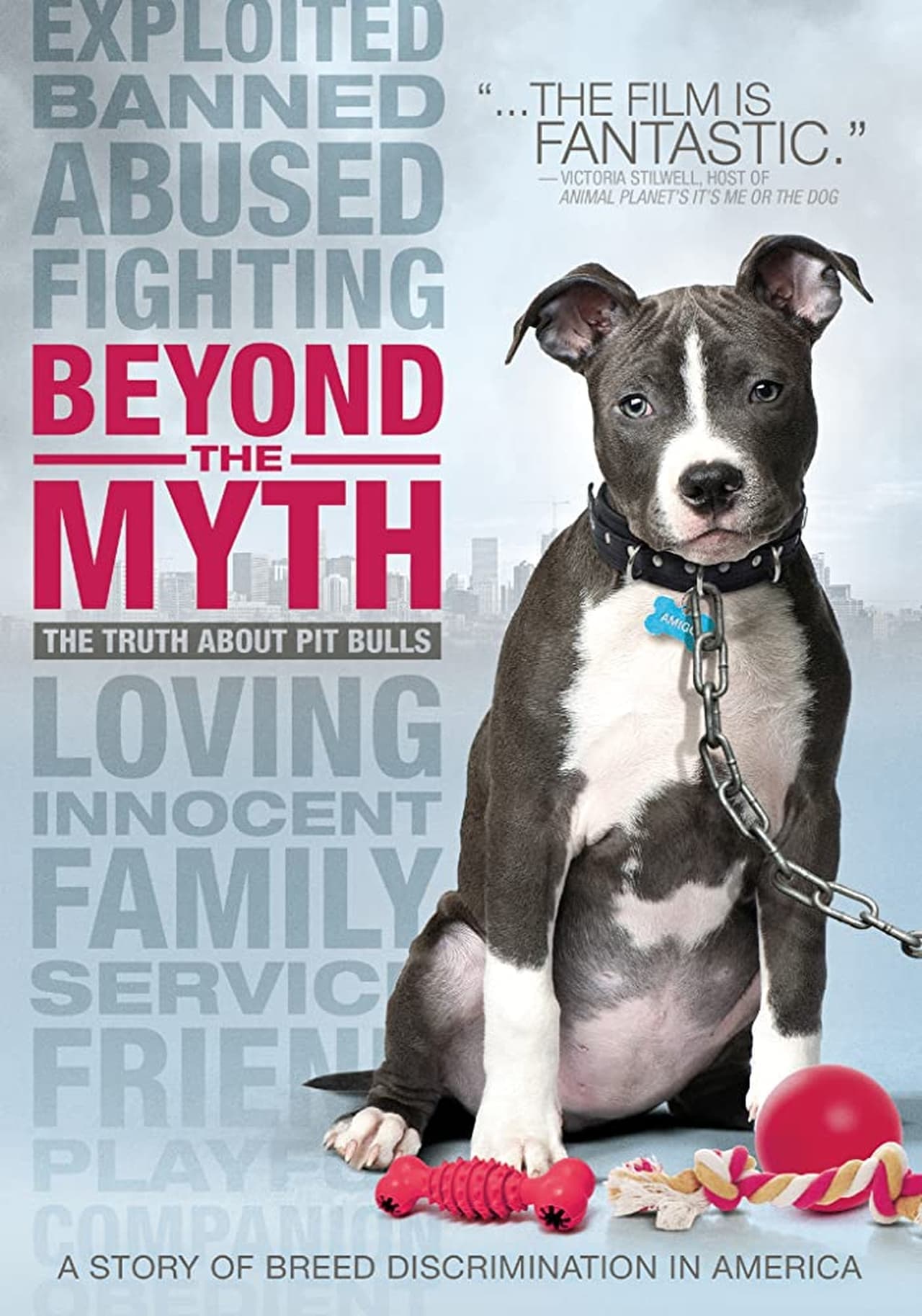 Movie Beyond the Myth A Film About Pit Bulls and Breed Discrimination