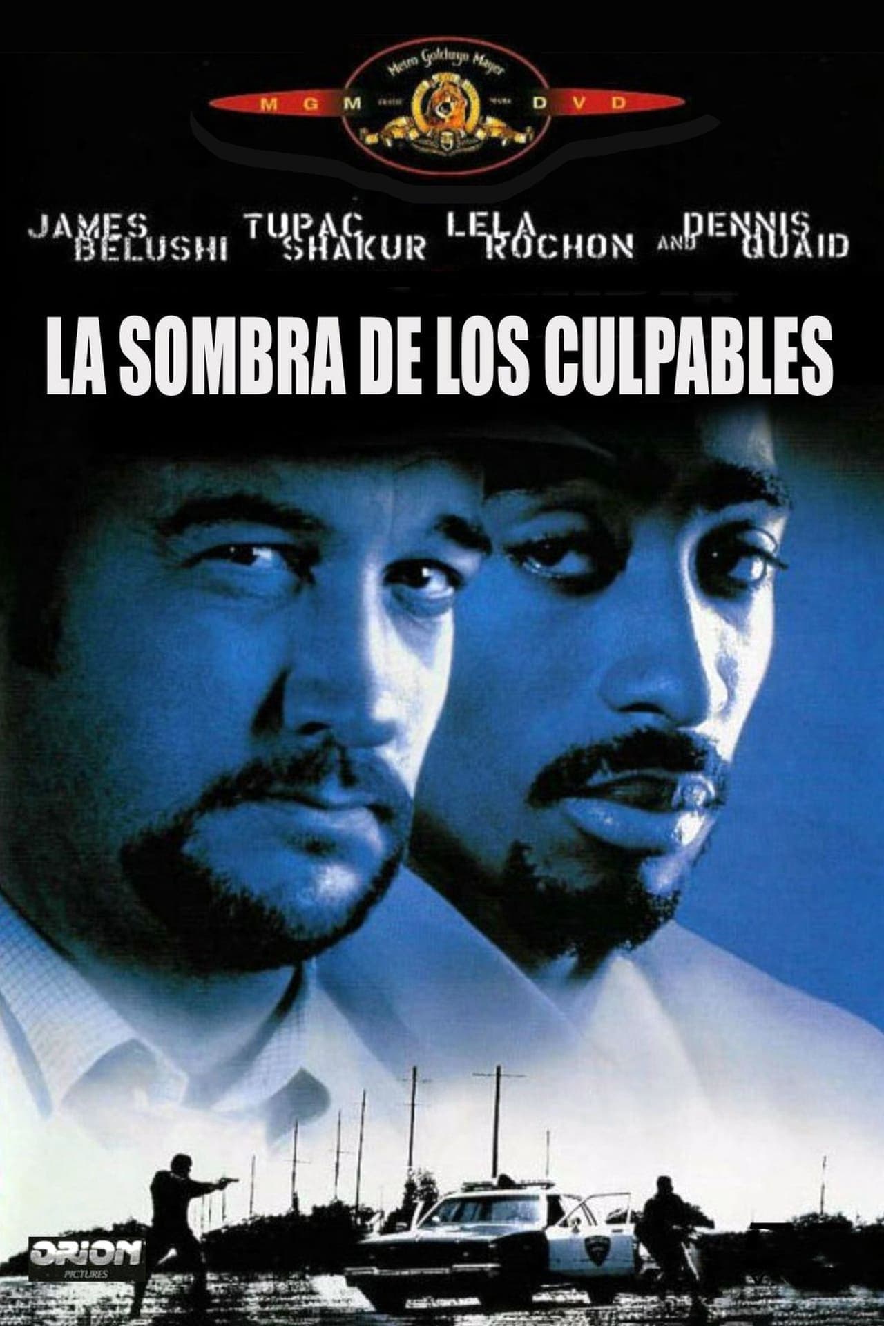 Película La sombra de los culpables