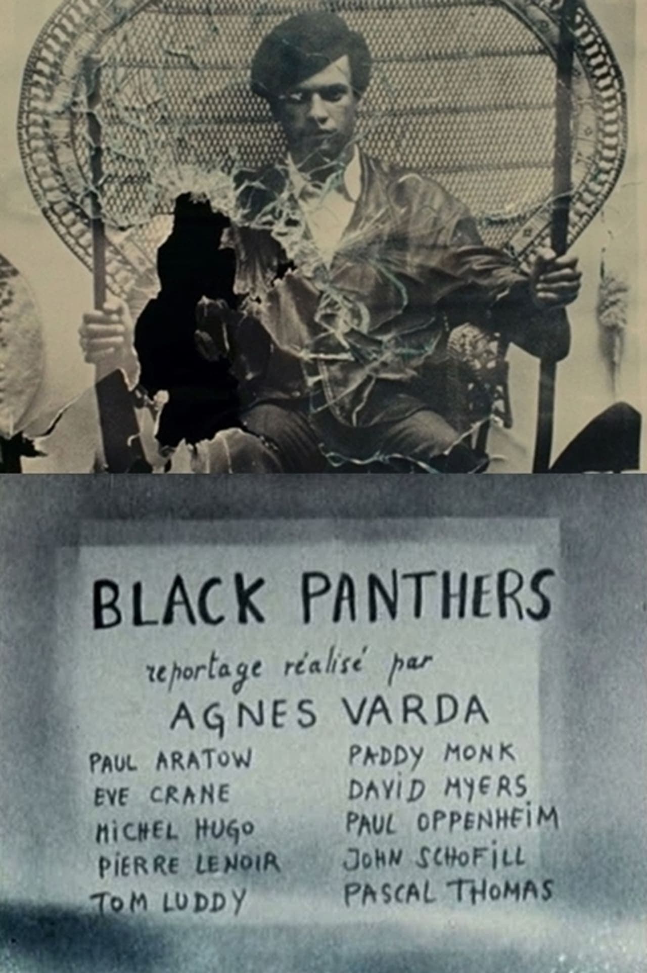 Película Black Panthers