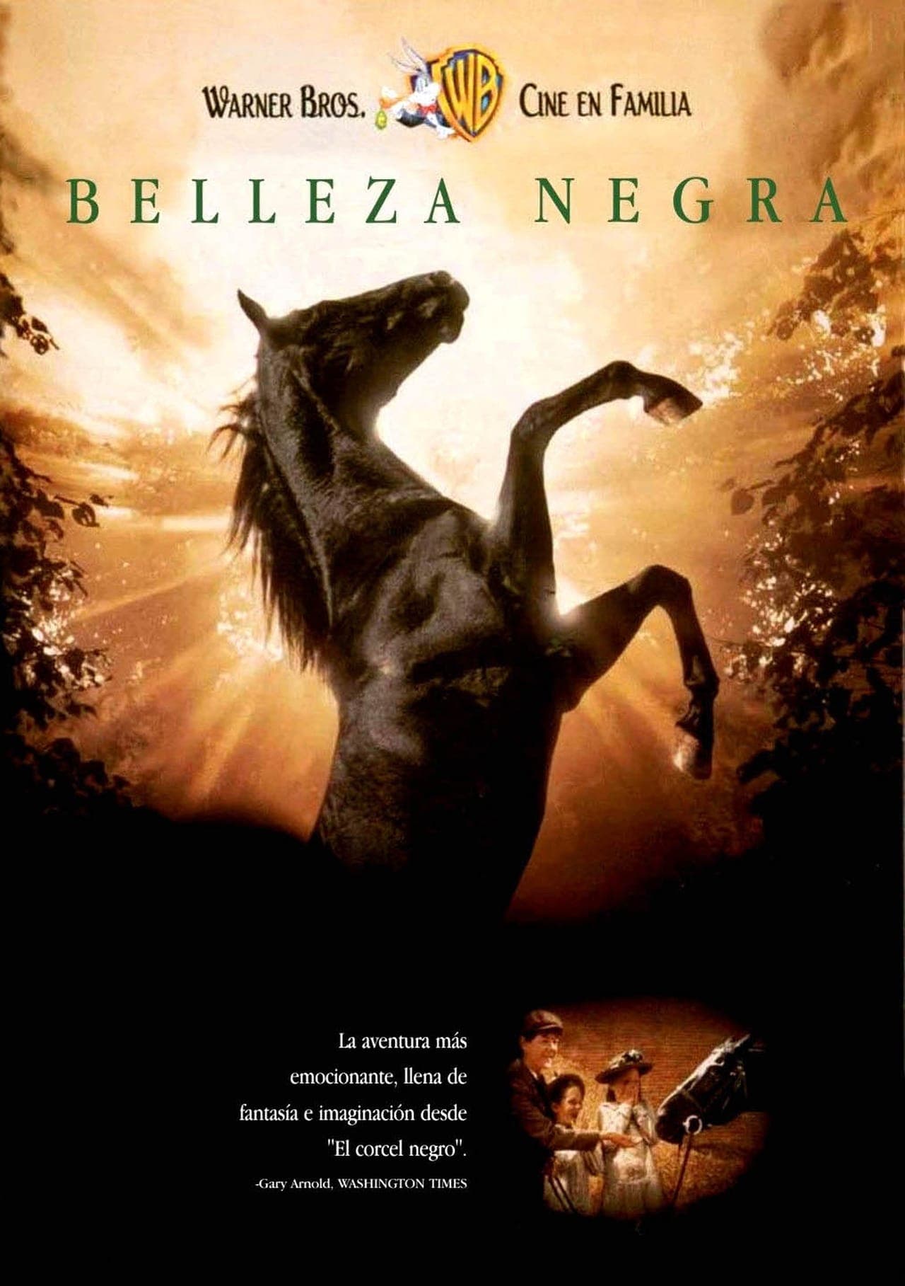 Movie Belleza Negra