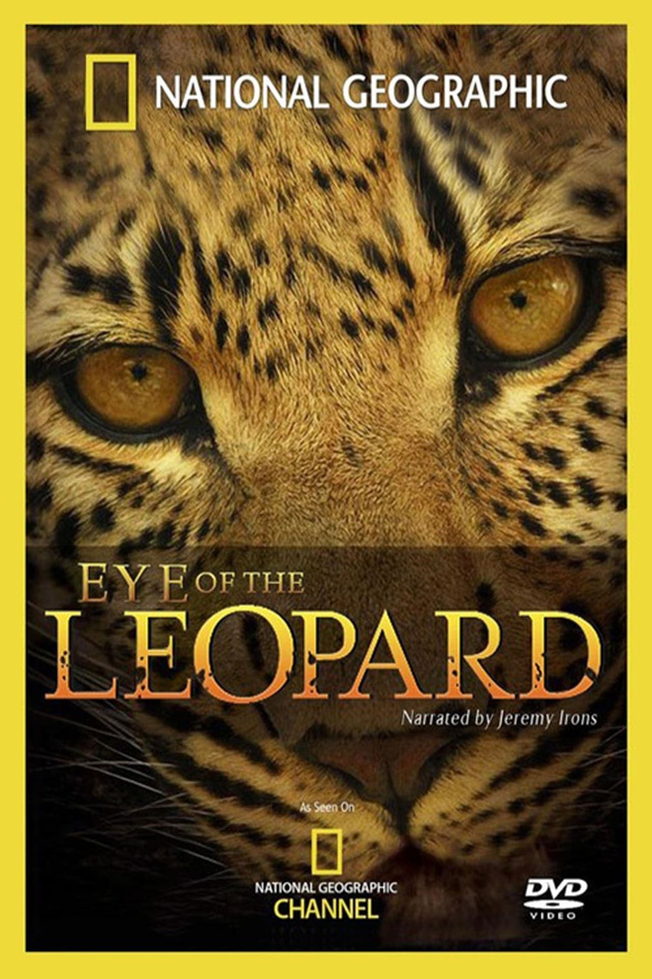 Movie El Ojo Del Leopardo