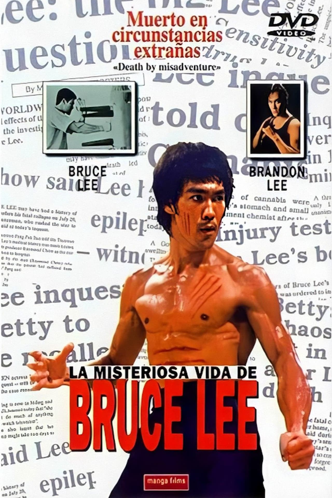 Película La misteriosa vida de Bruce Lee