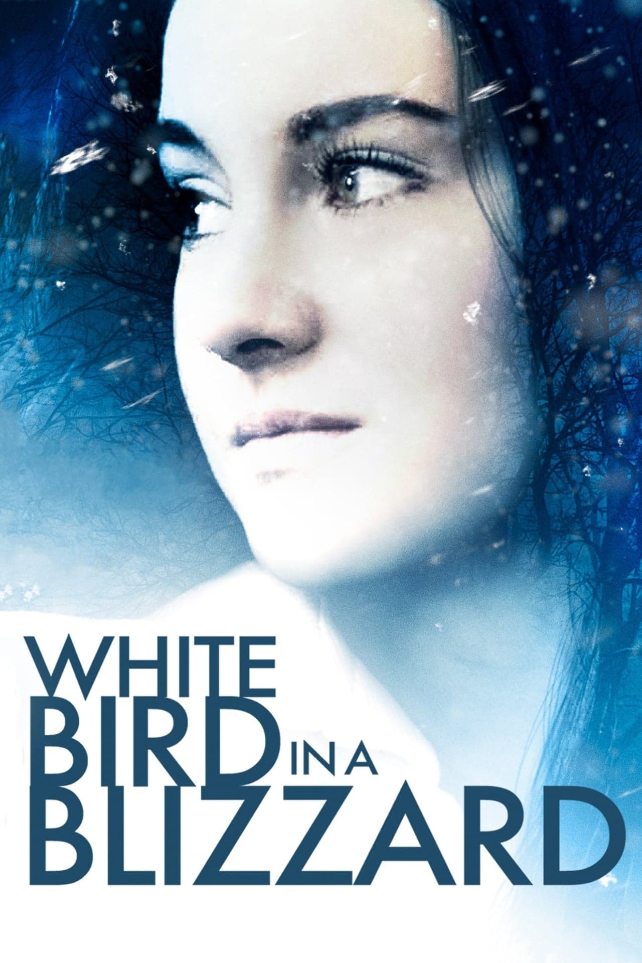 Movie Pájaro blanco de la tormenta de nieve