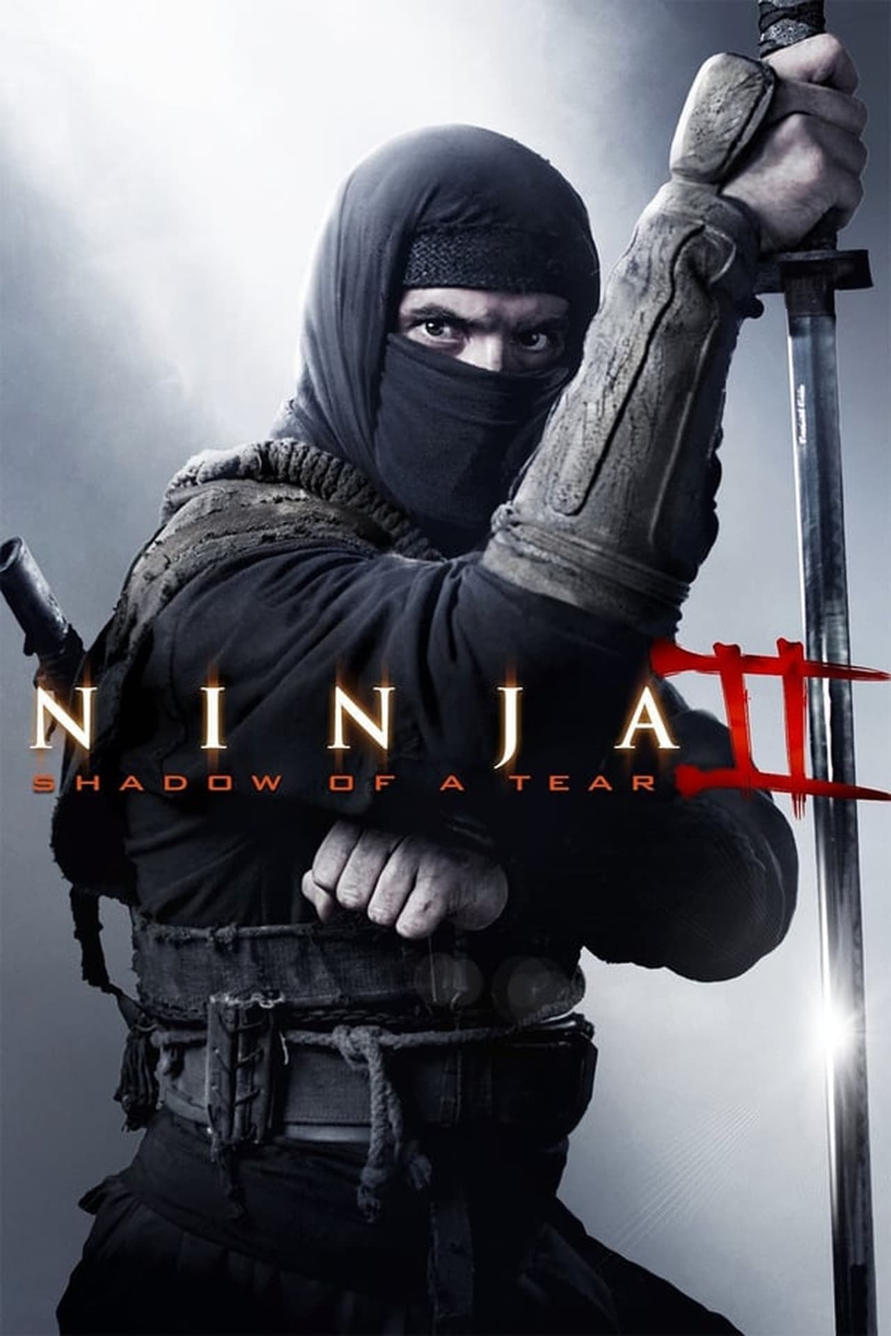 Película Ninja 2: La sombra de la muerte