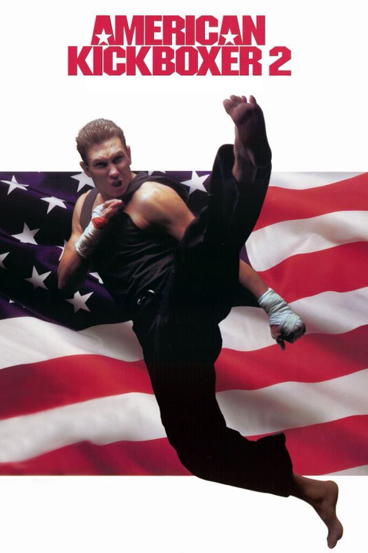 Película American Kickboxer 2