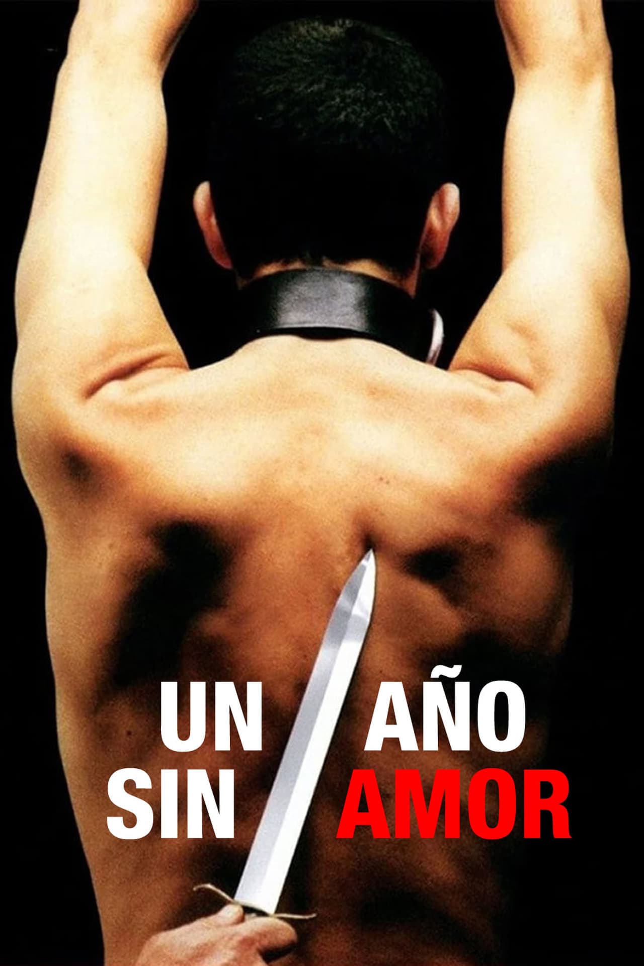 Movie Un año sin amor