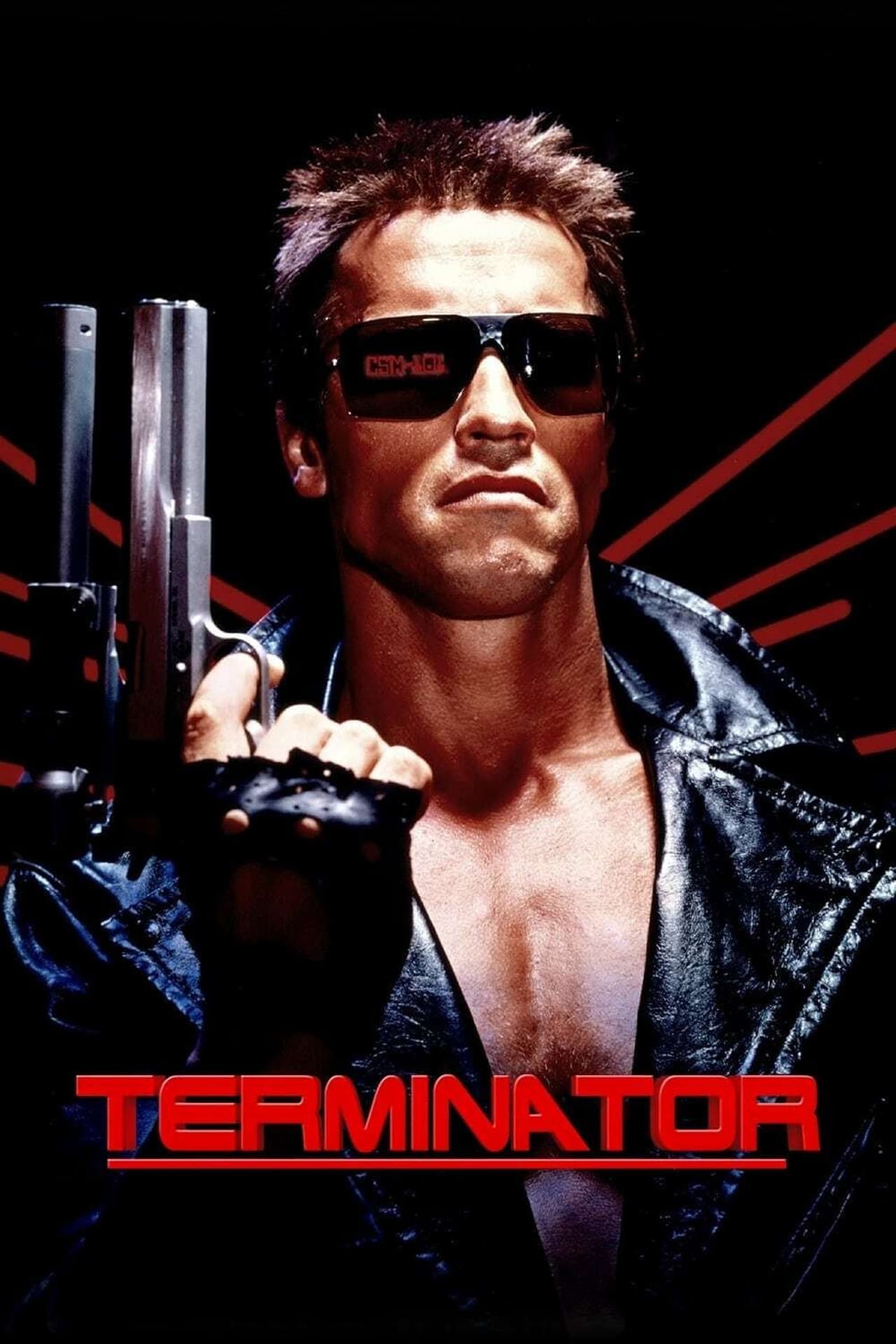 Película Terminator