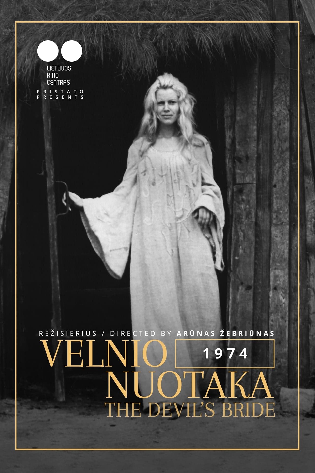 Película Velnio nuotaka