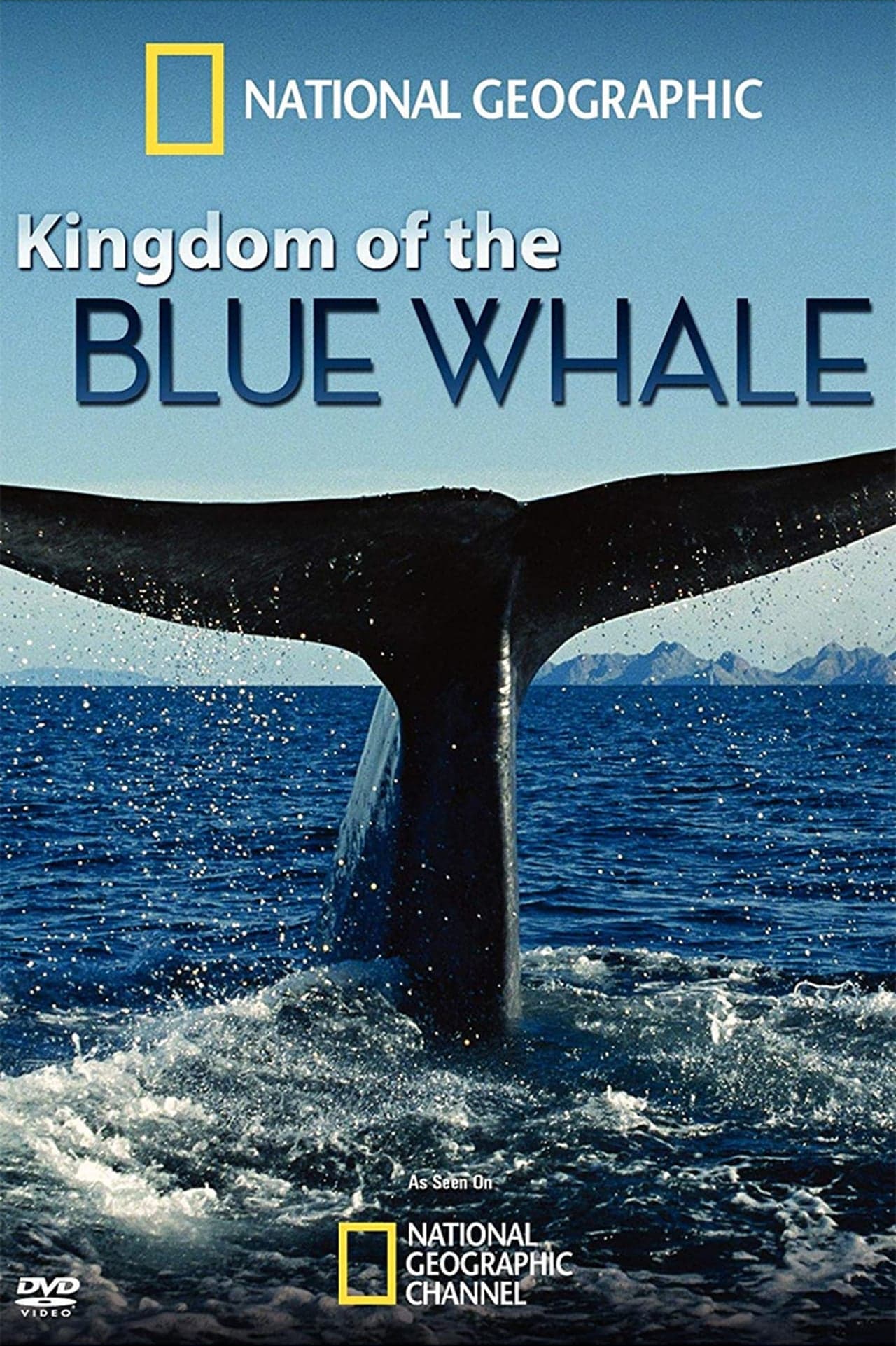 Movie El Reino de la Ballena Azul