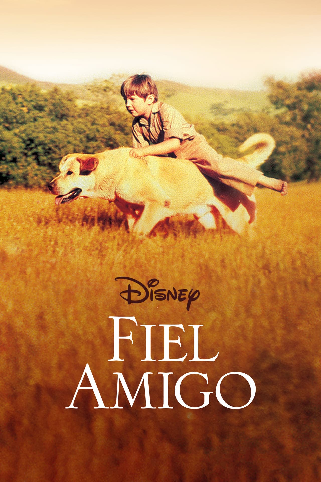 Movie Fiel amigo