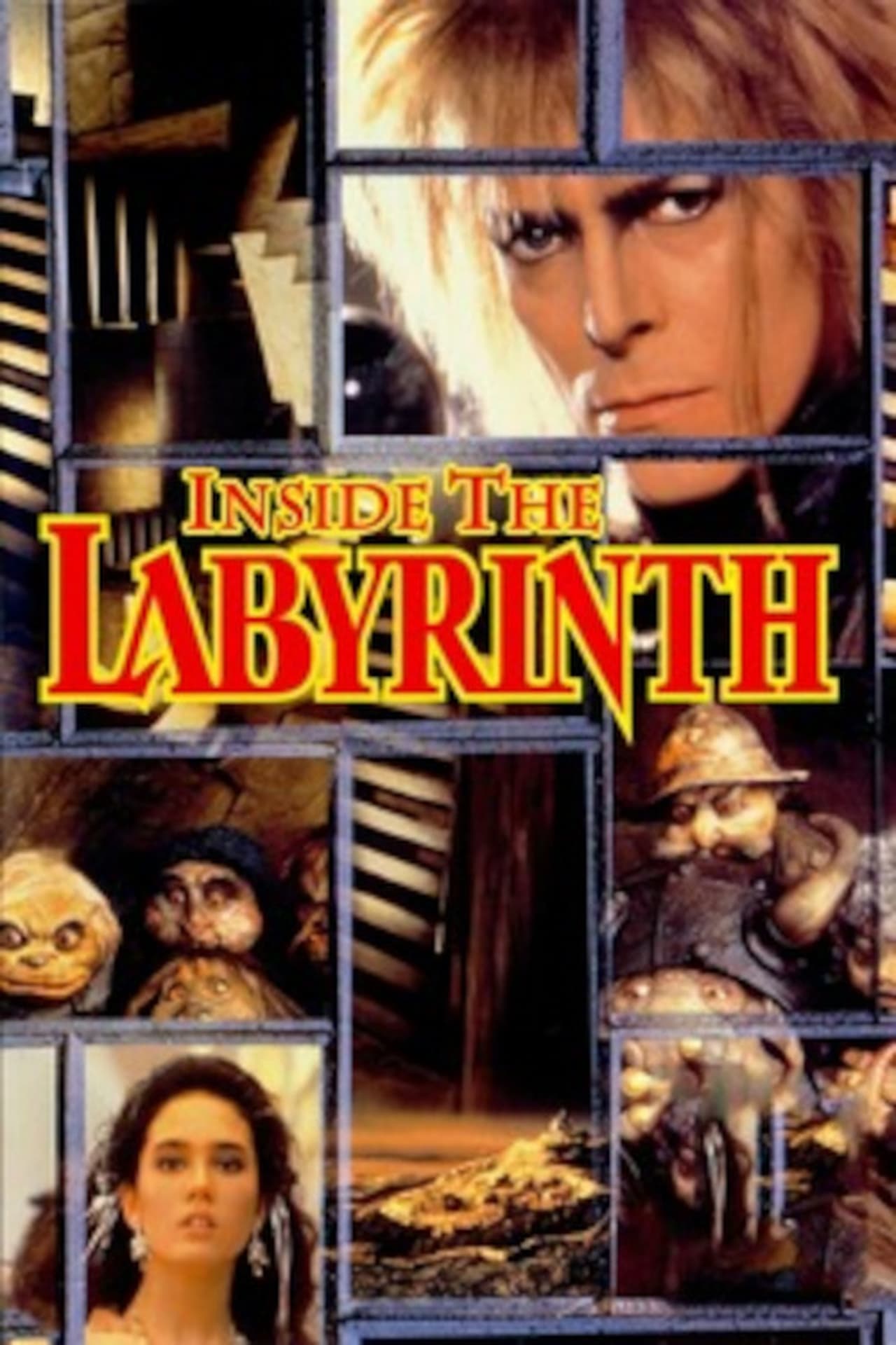 Movie Inside the Labyrinth