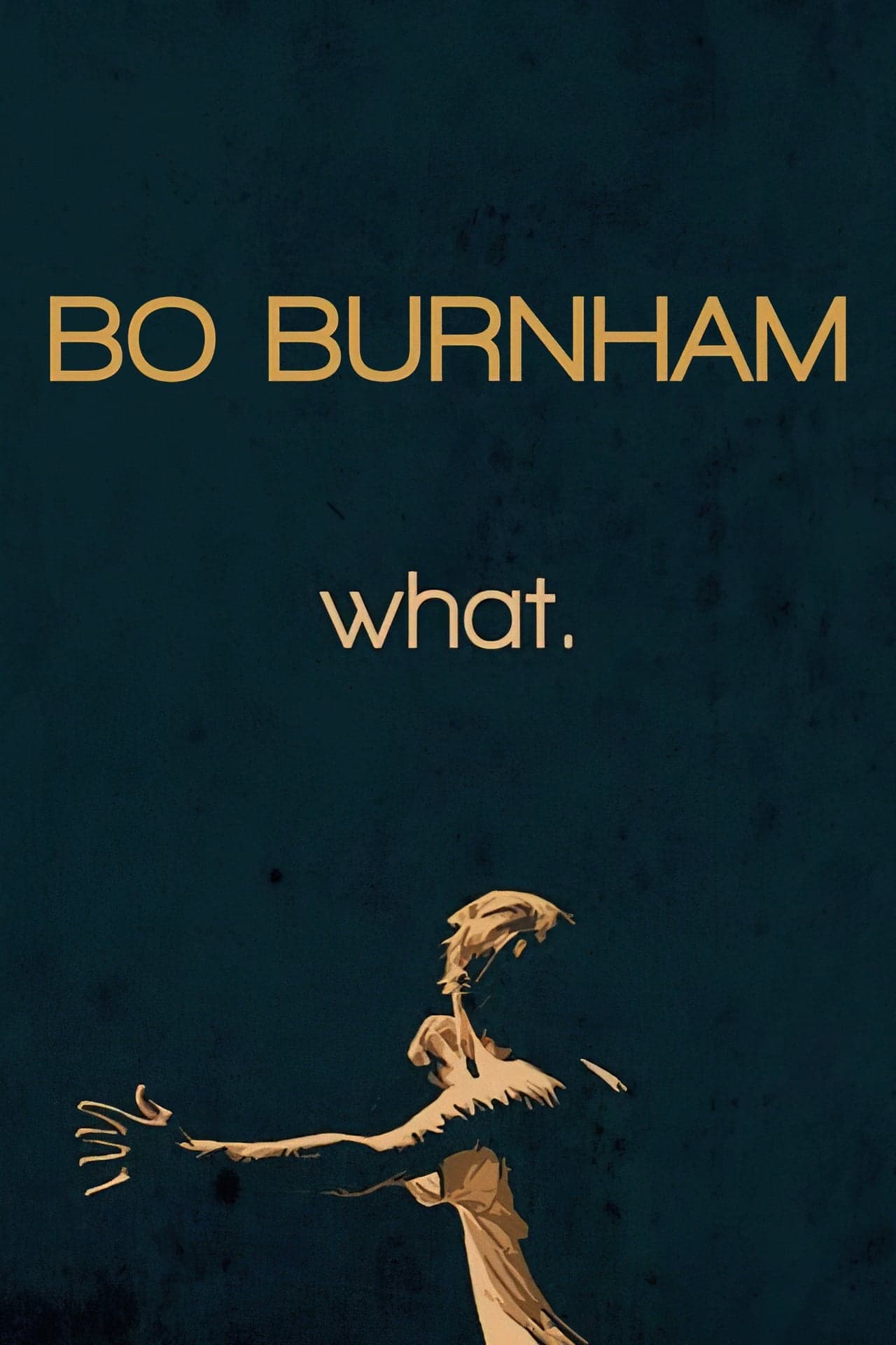 Movie Bo Burnham: What.