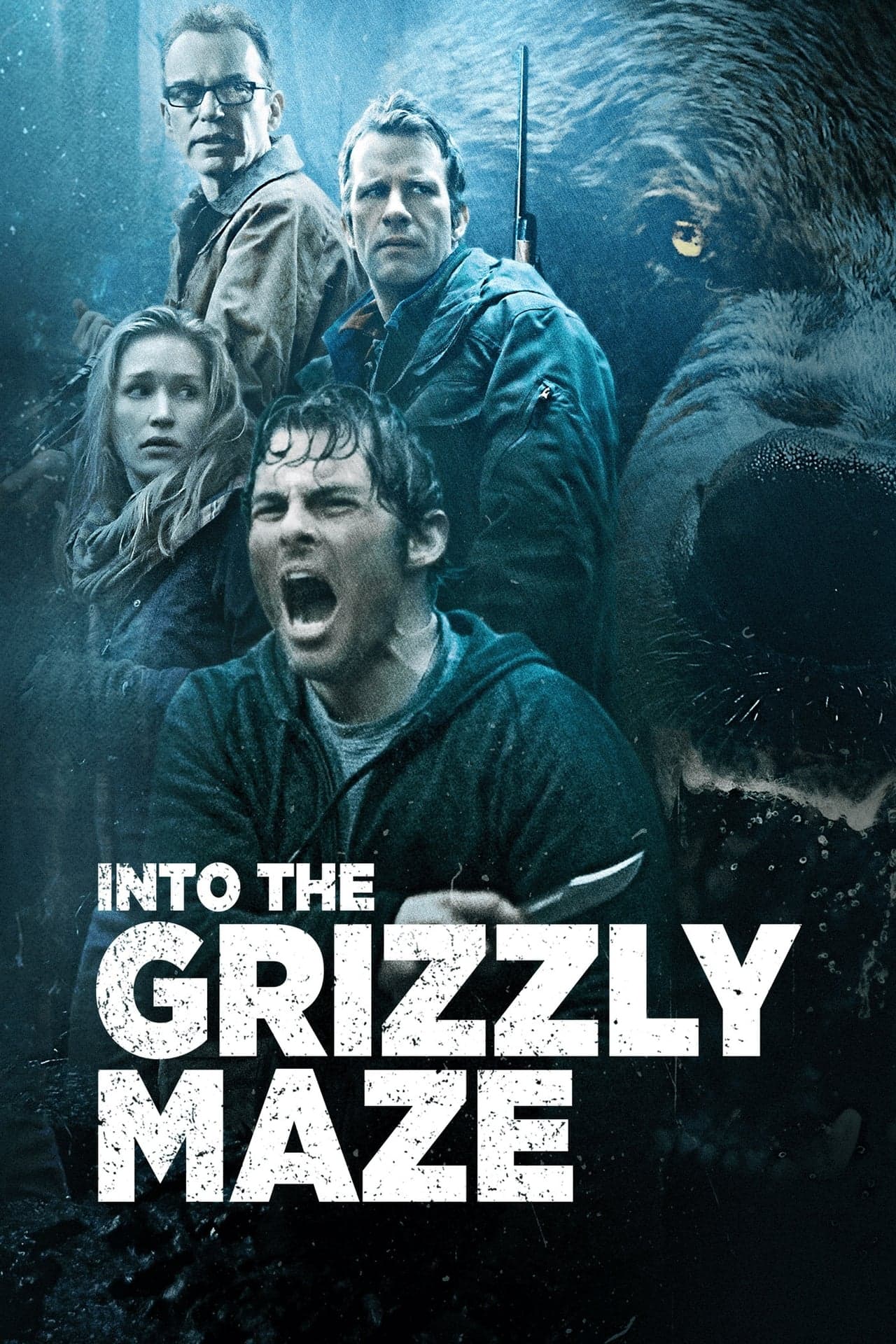 Película Territorio Grizzly