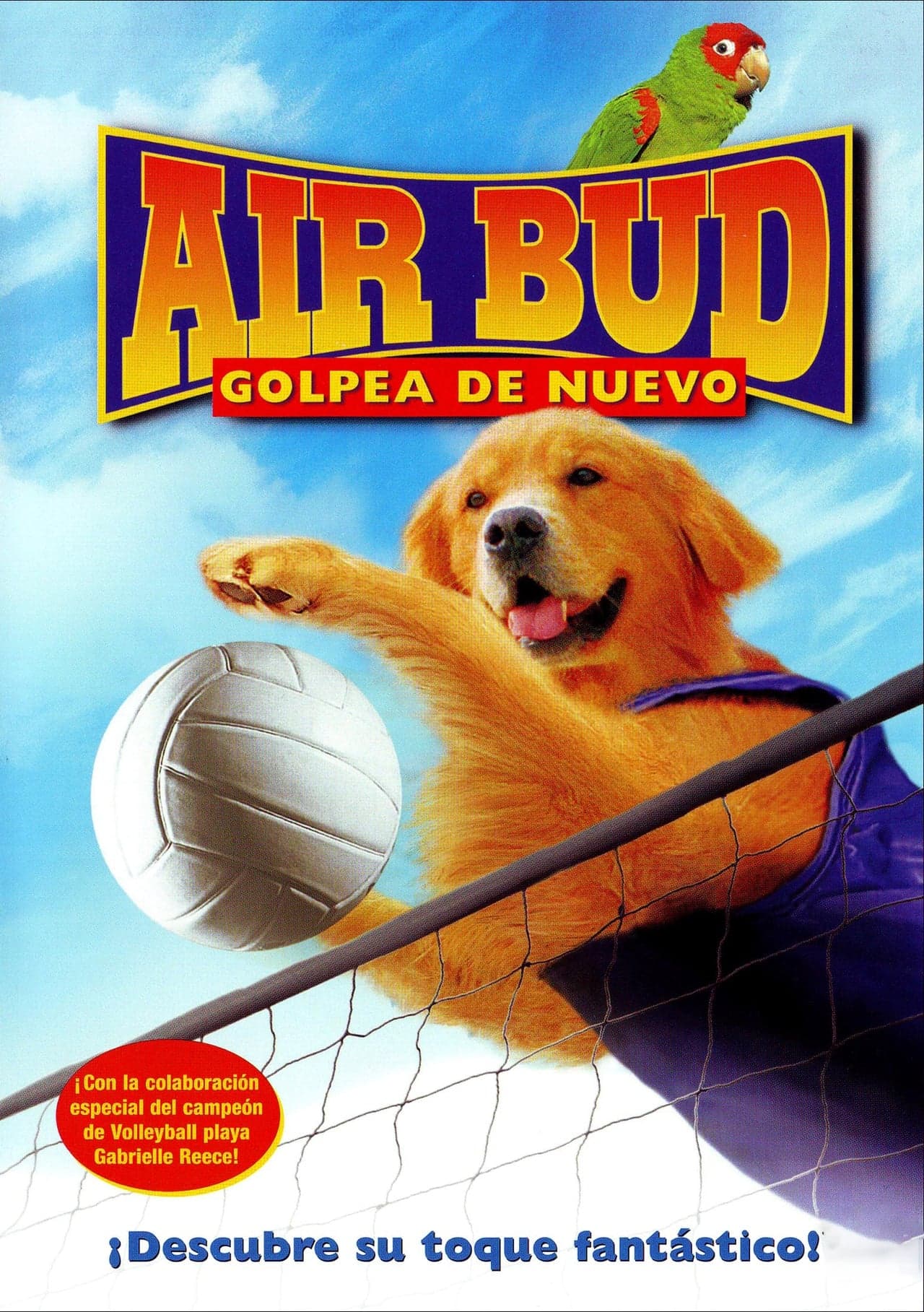 Movie Air Bud 5: Golpea de Nuevo