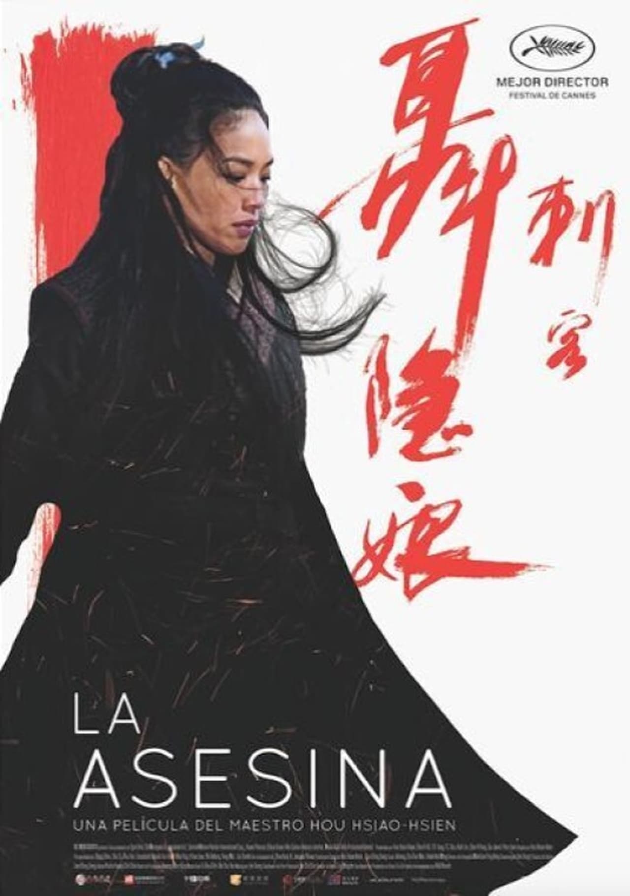 Movie The Assassin (La asesina)