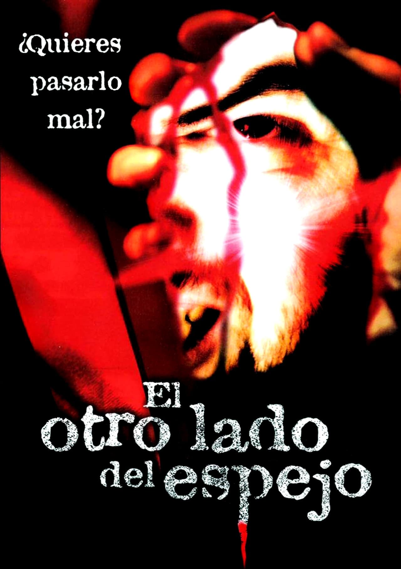 Película El otro lado del espejo