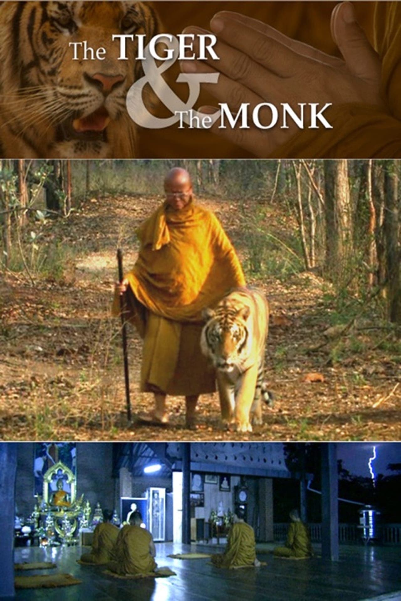 Movie The Tiger and the Monk