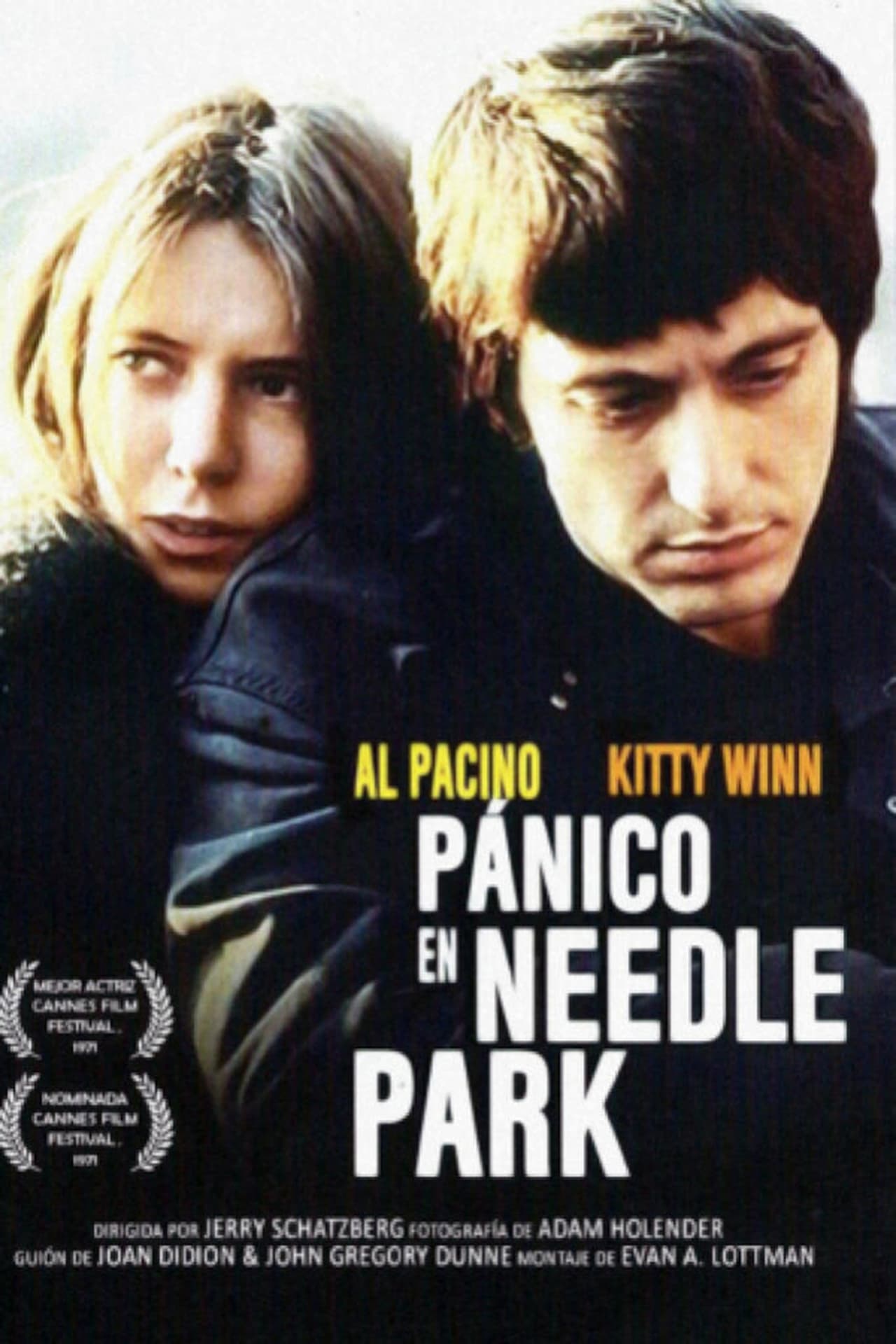 Movie Pánico en Needle Park