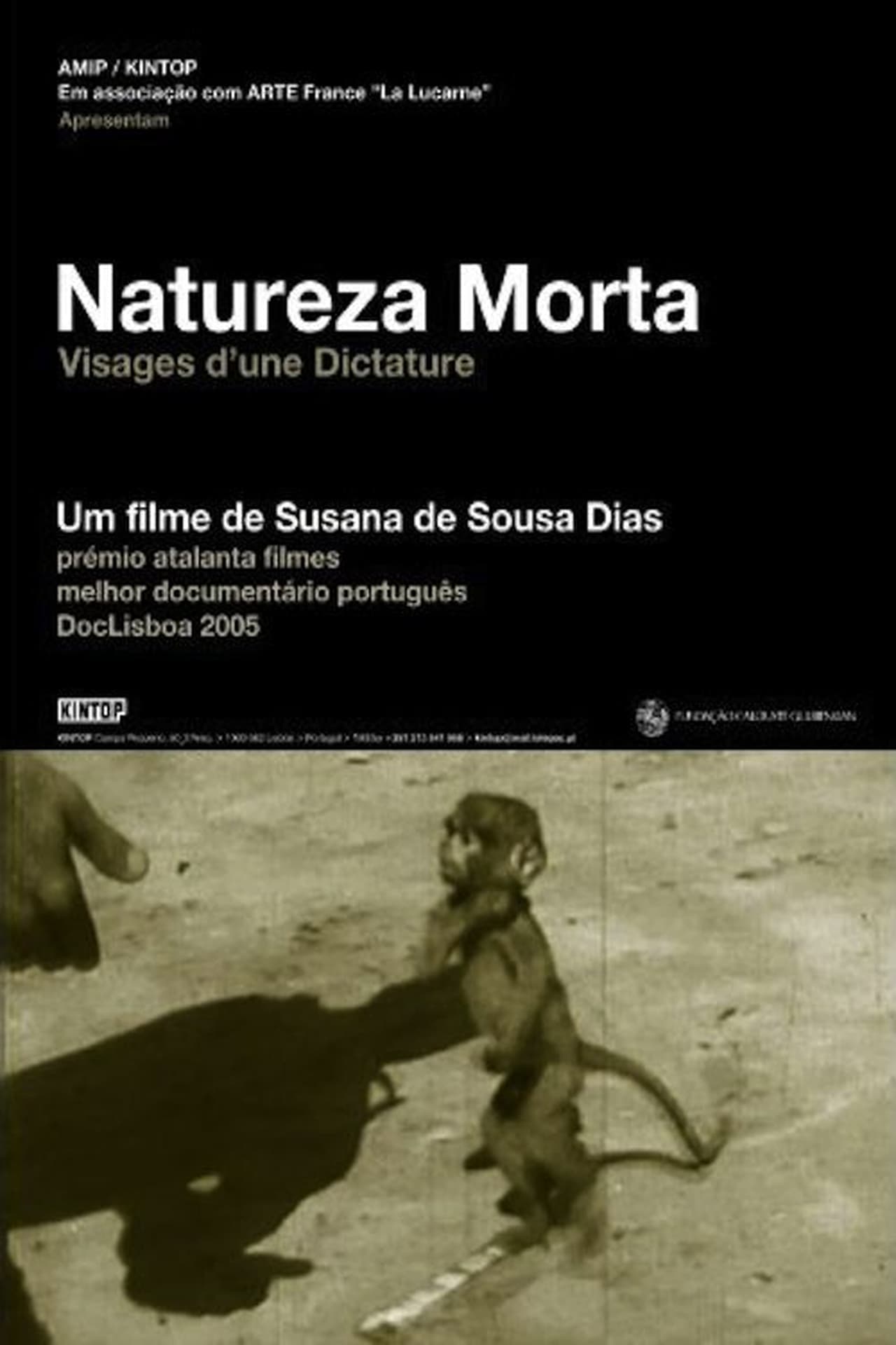 Movie Natureza Morta