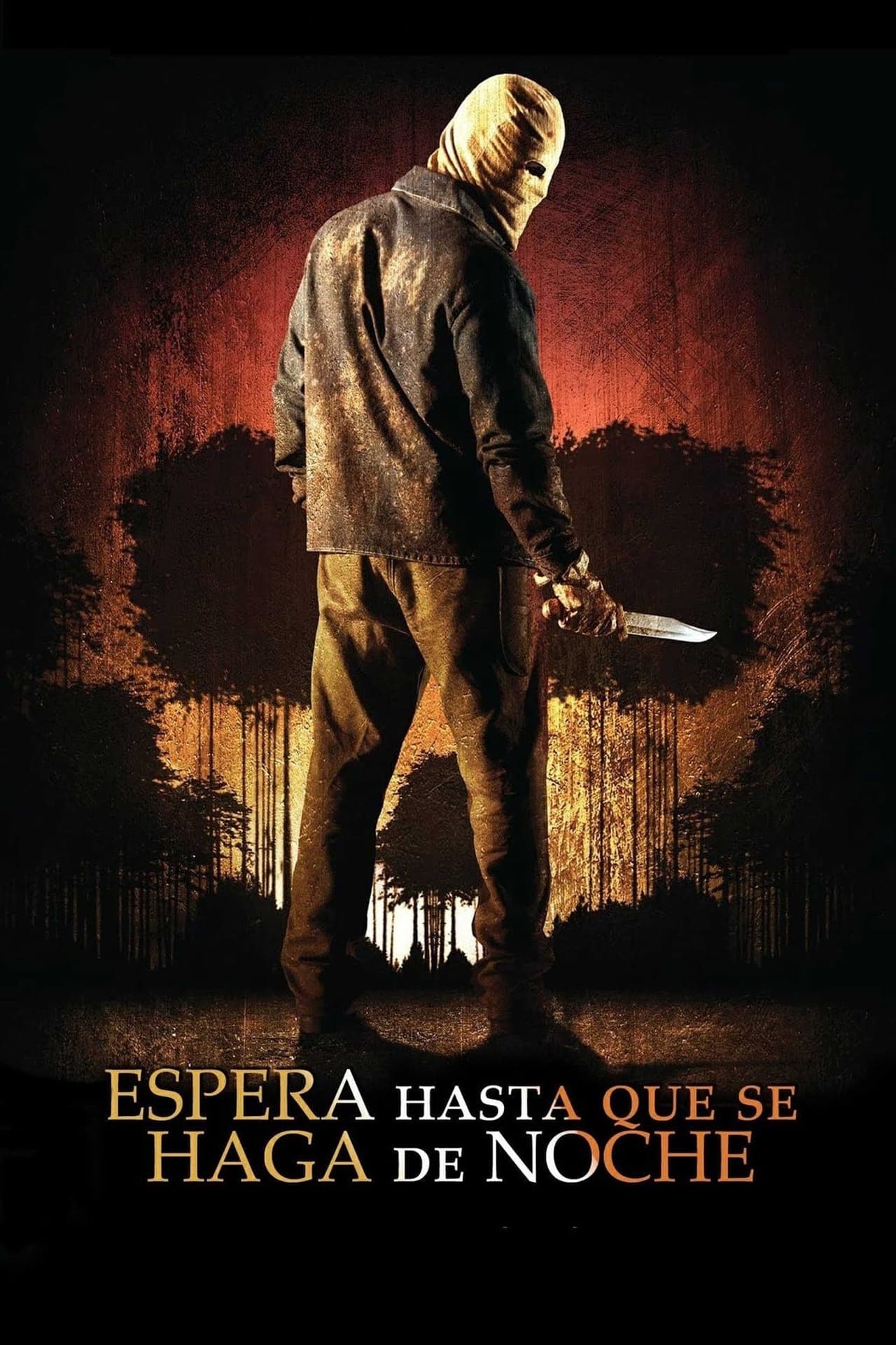 Película Espera hasta que se haga de noche