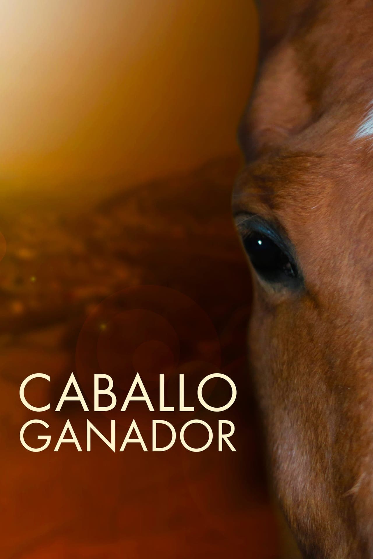 Película Caballo ganador