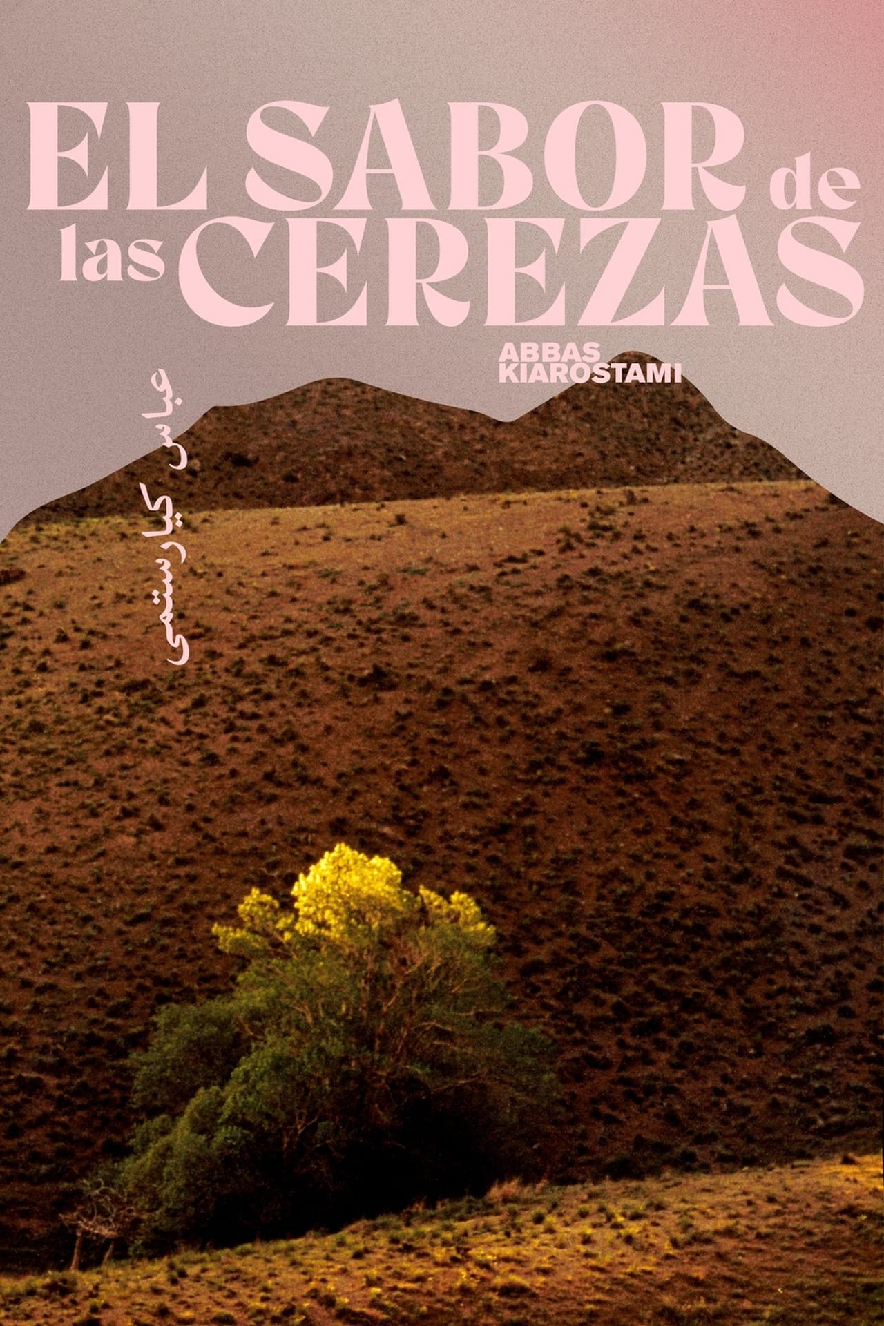 Película El sabor de las cerezas