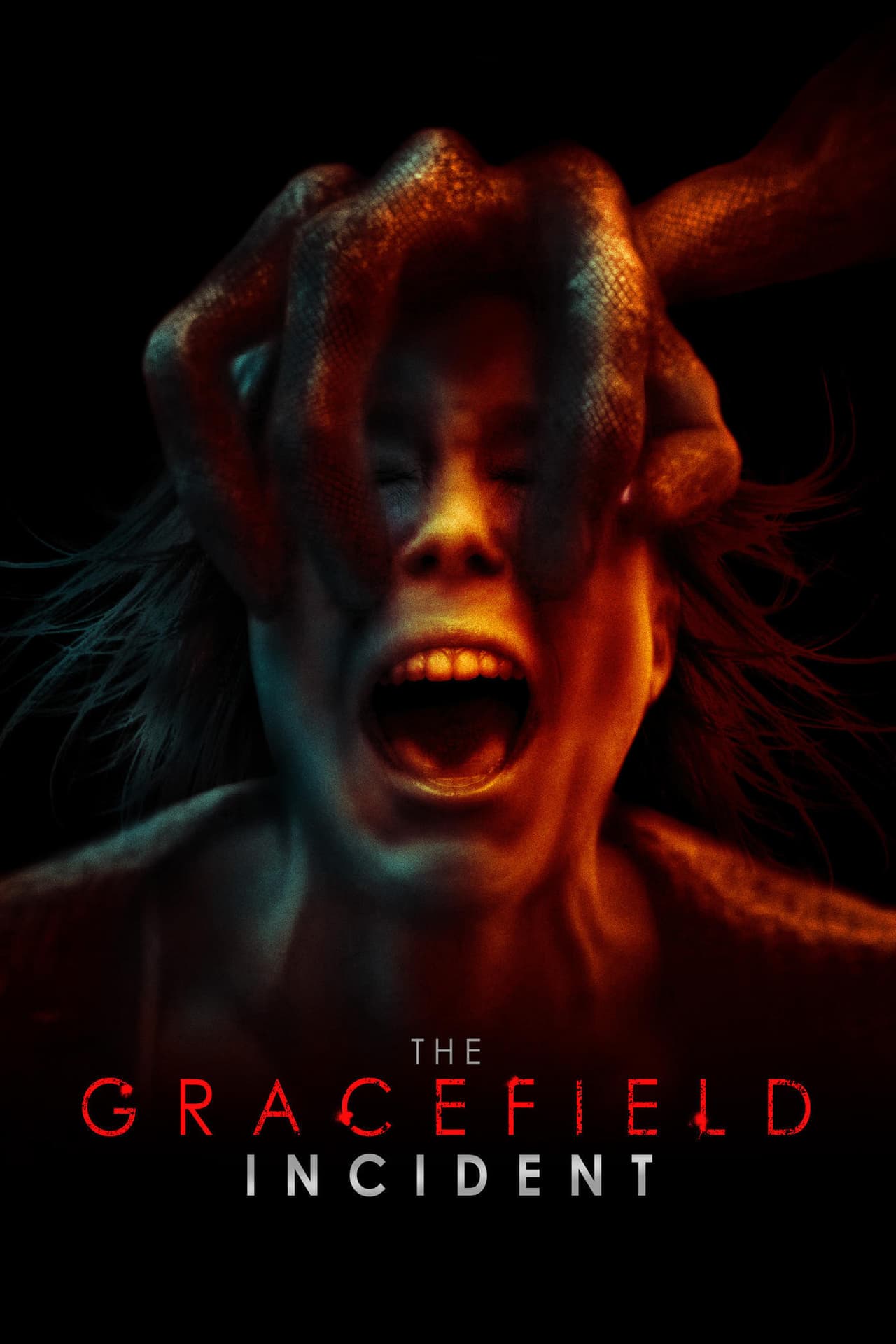 Película The Gracefield Incident