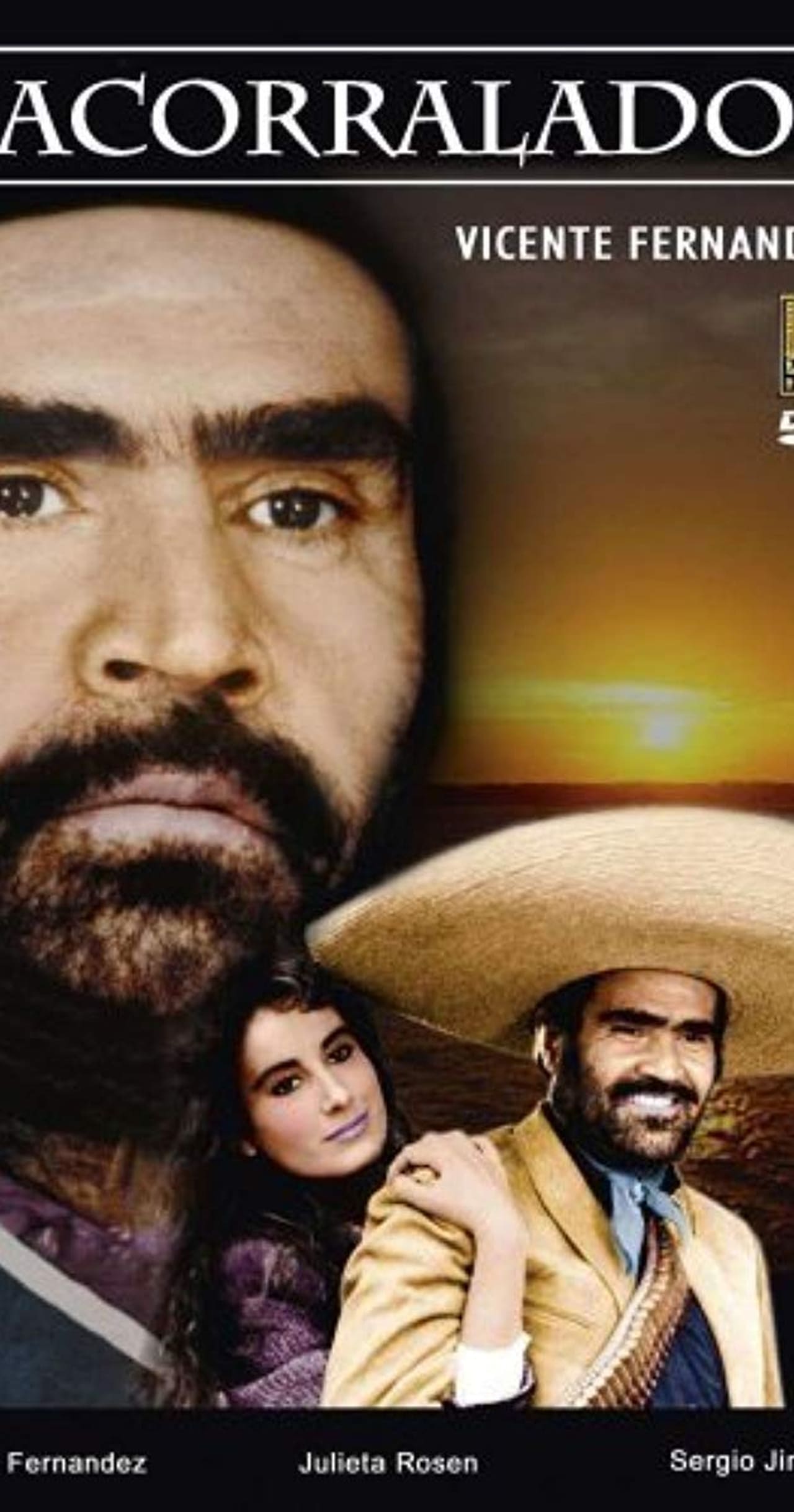 Película Acorralado