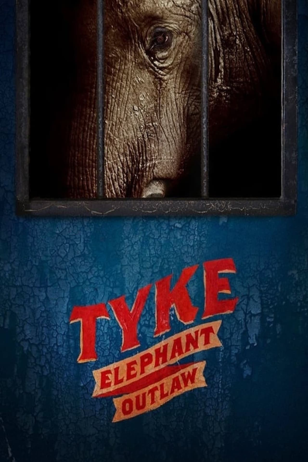 Movie Tyke Elephant Outlaw