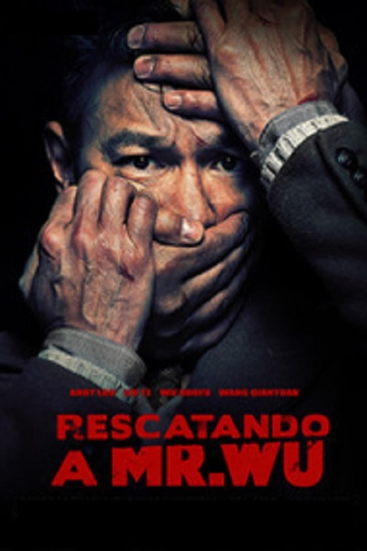 Movie Rescatando a Mr. Wu