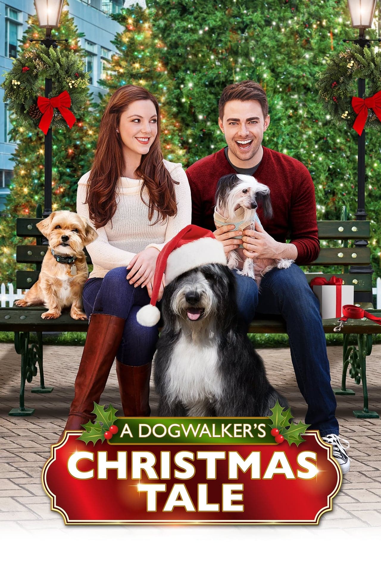 Película A Dogwalker's Christmas Tale