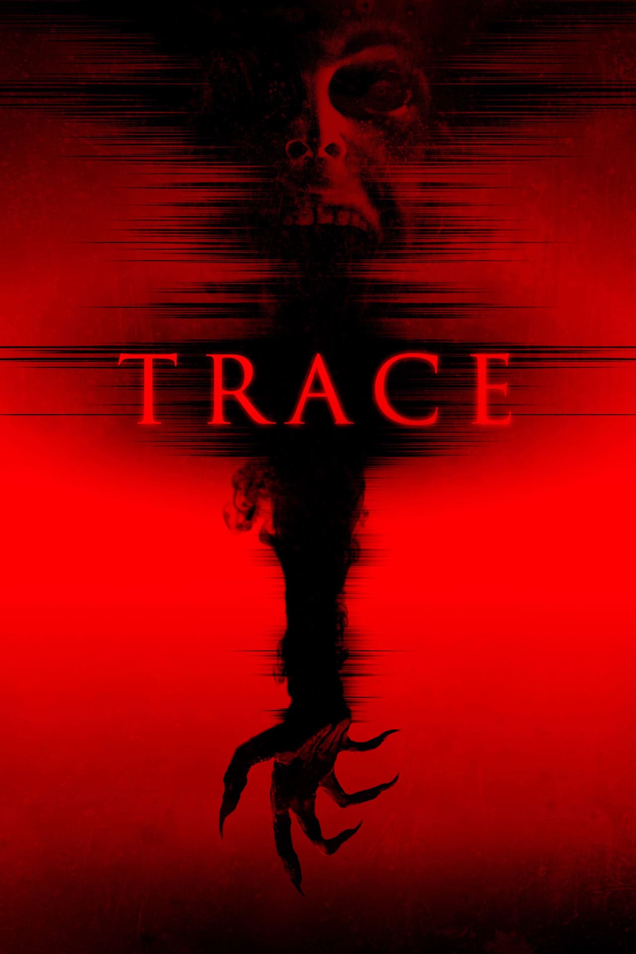 Película Trace