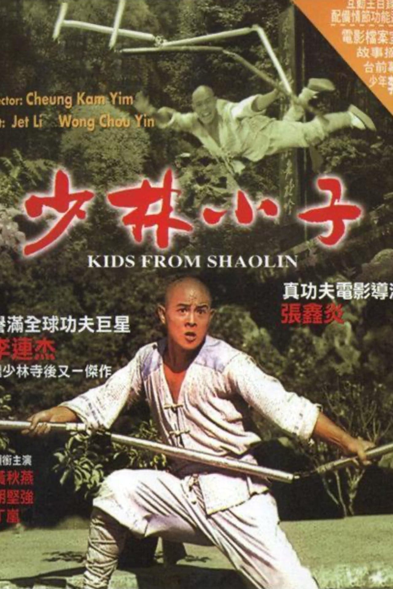 Movie El templo de Shaolin 2