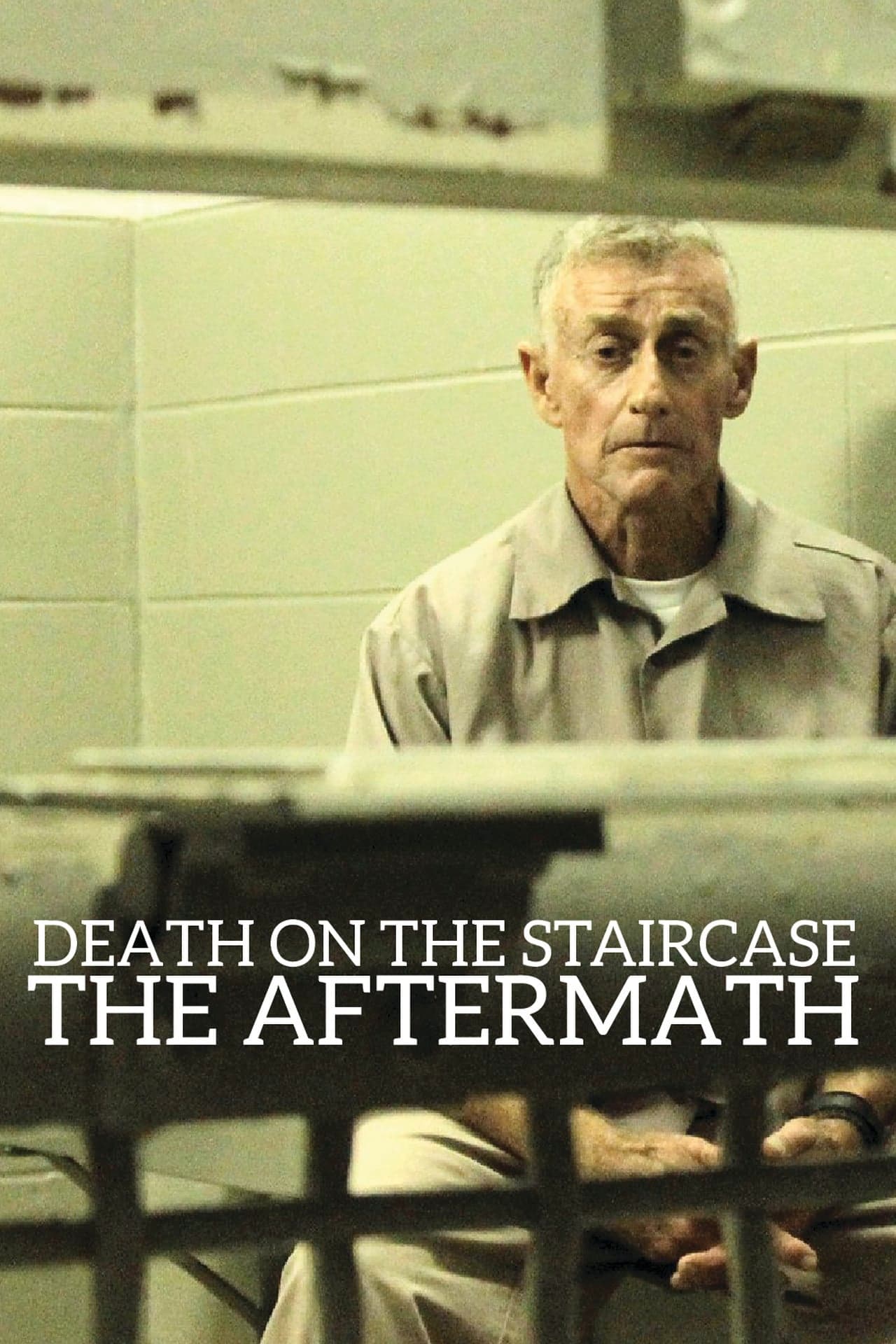 Película Death on the Staircase: The Aftermath