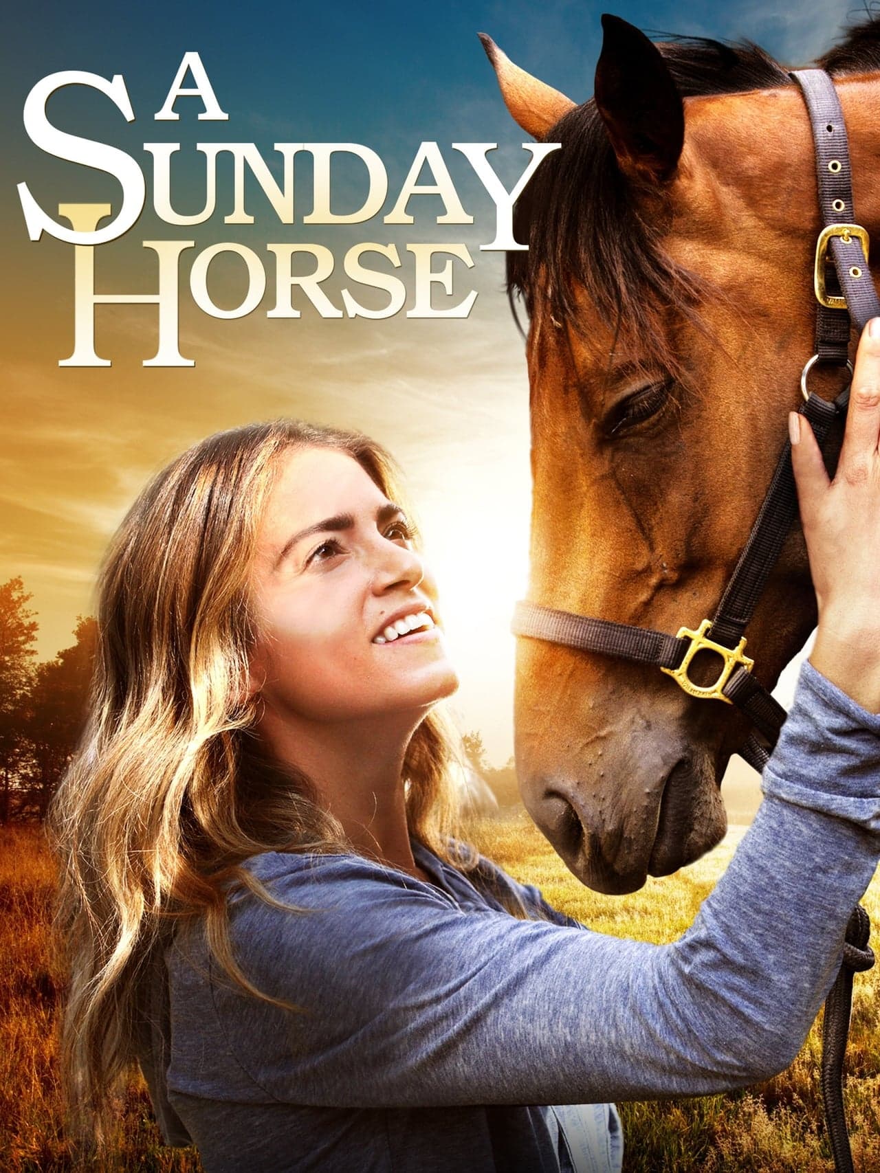 Película A Sunday Horse