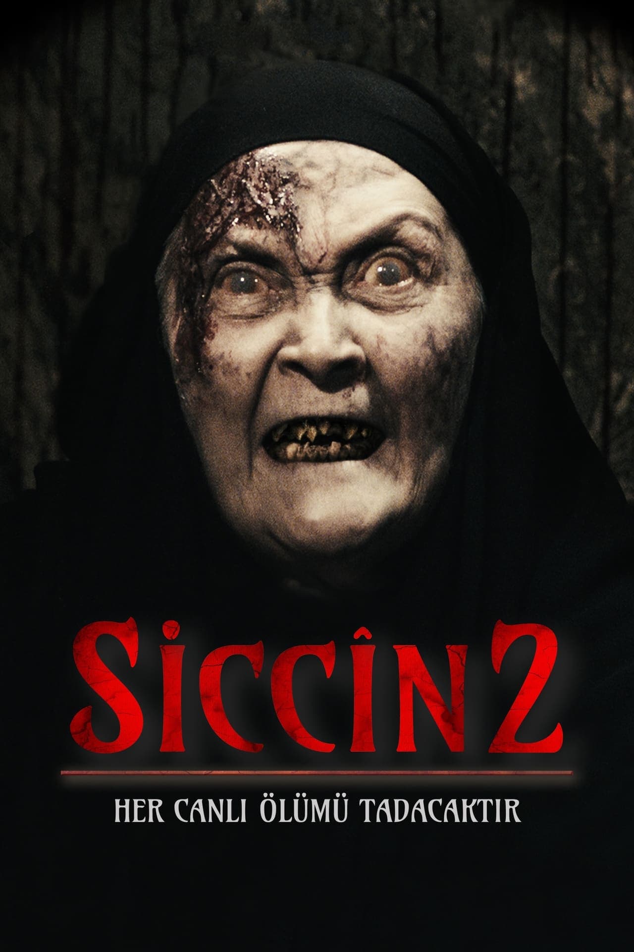 Película Siccîn 2