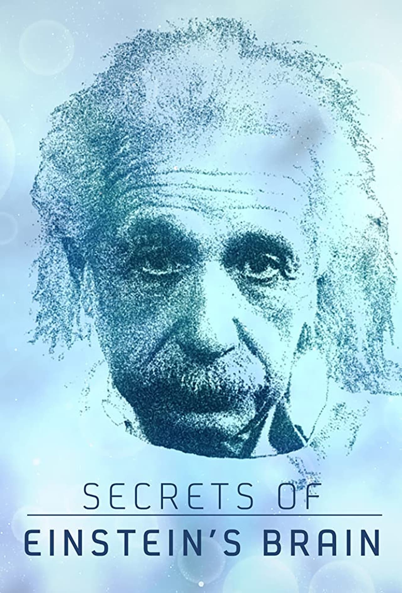 Movie Secrets of Einstein's Brain