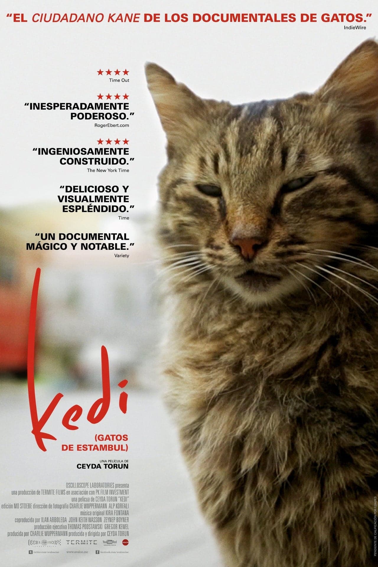 Película Kedi (Gatos de Estambul)