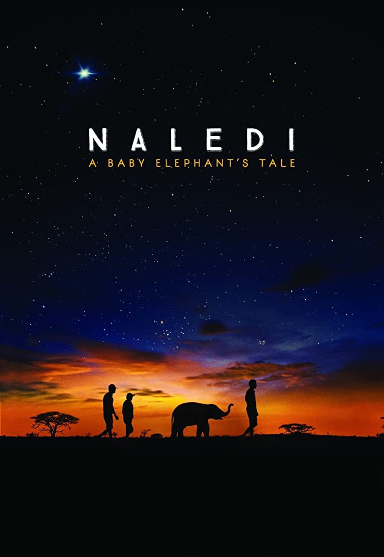 Película Naledi: A Baby Elephant's Tale